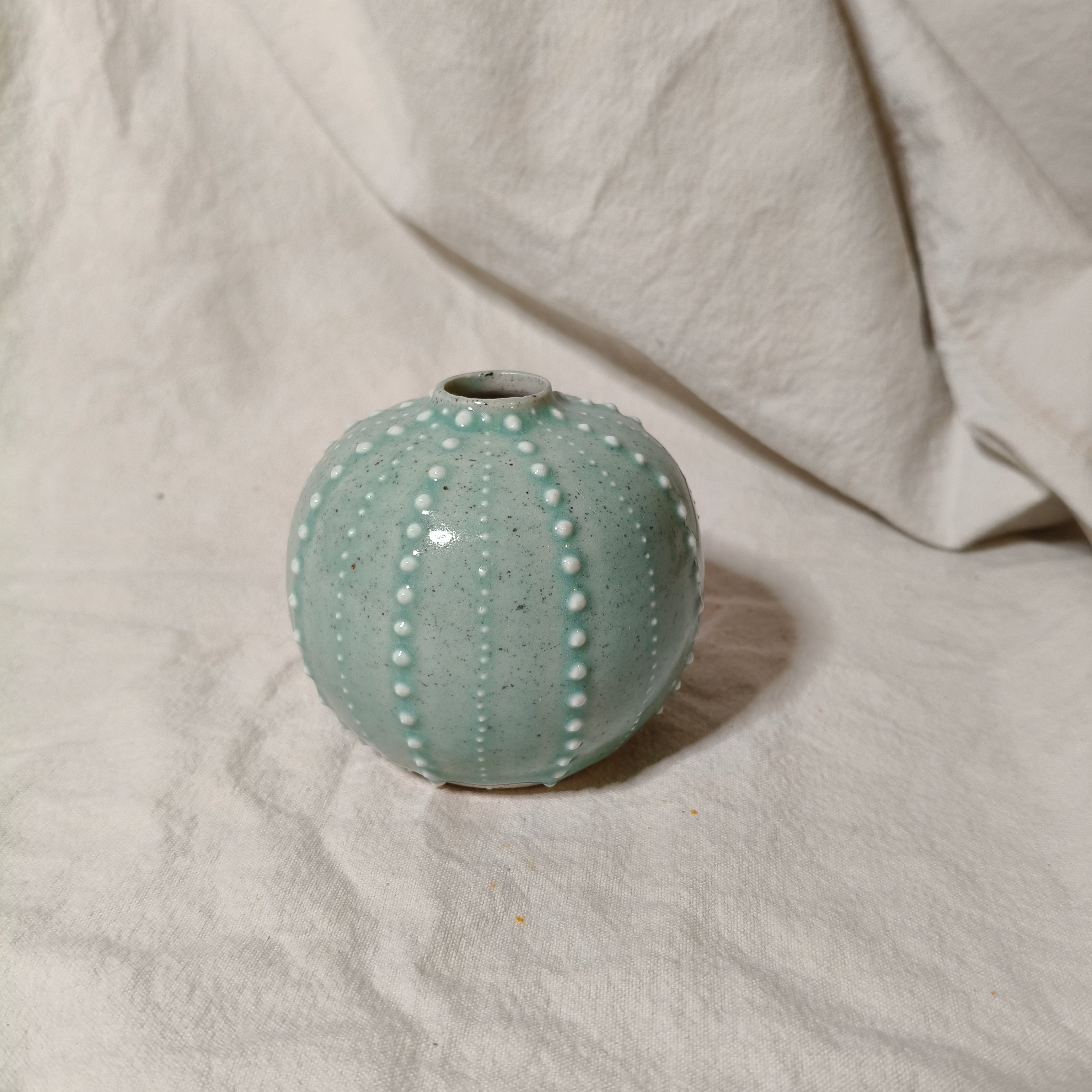 Kina Budvase