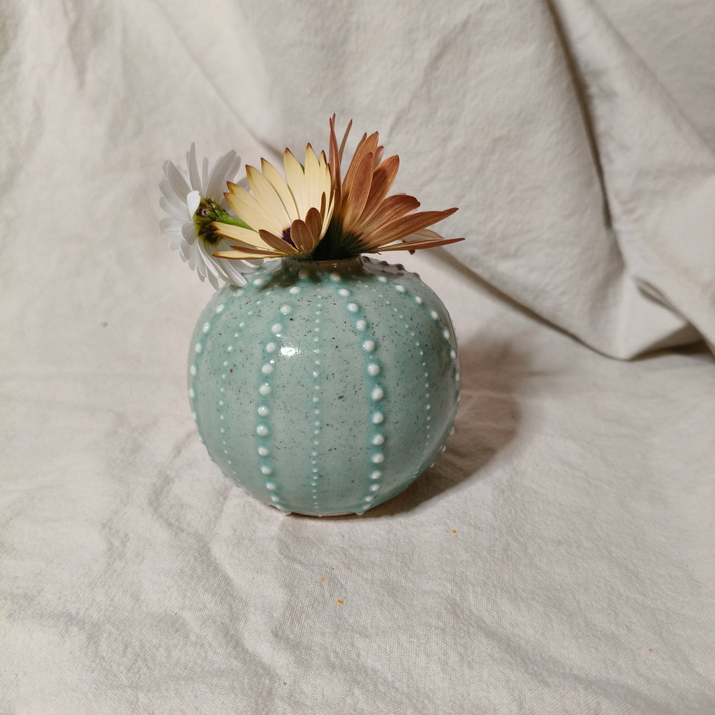Kina Budvase
