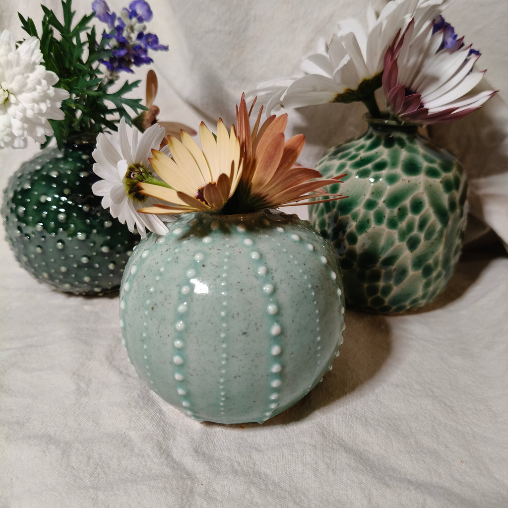 Kina Budvase