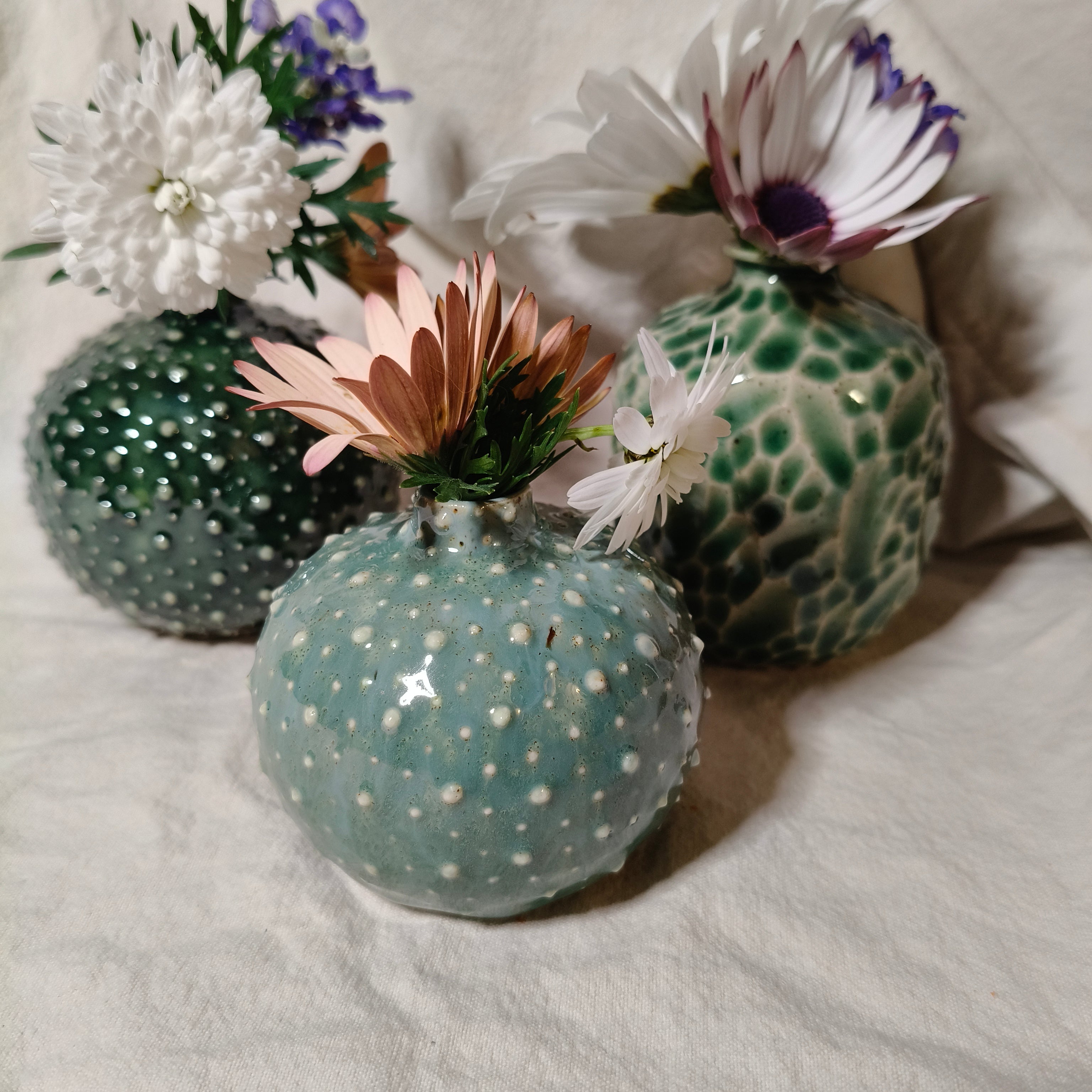 Kina Budvase