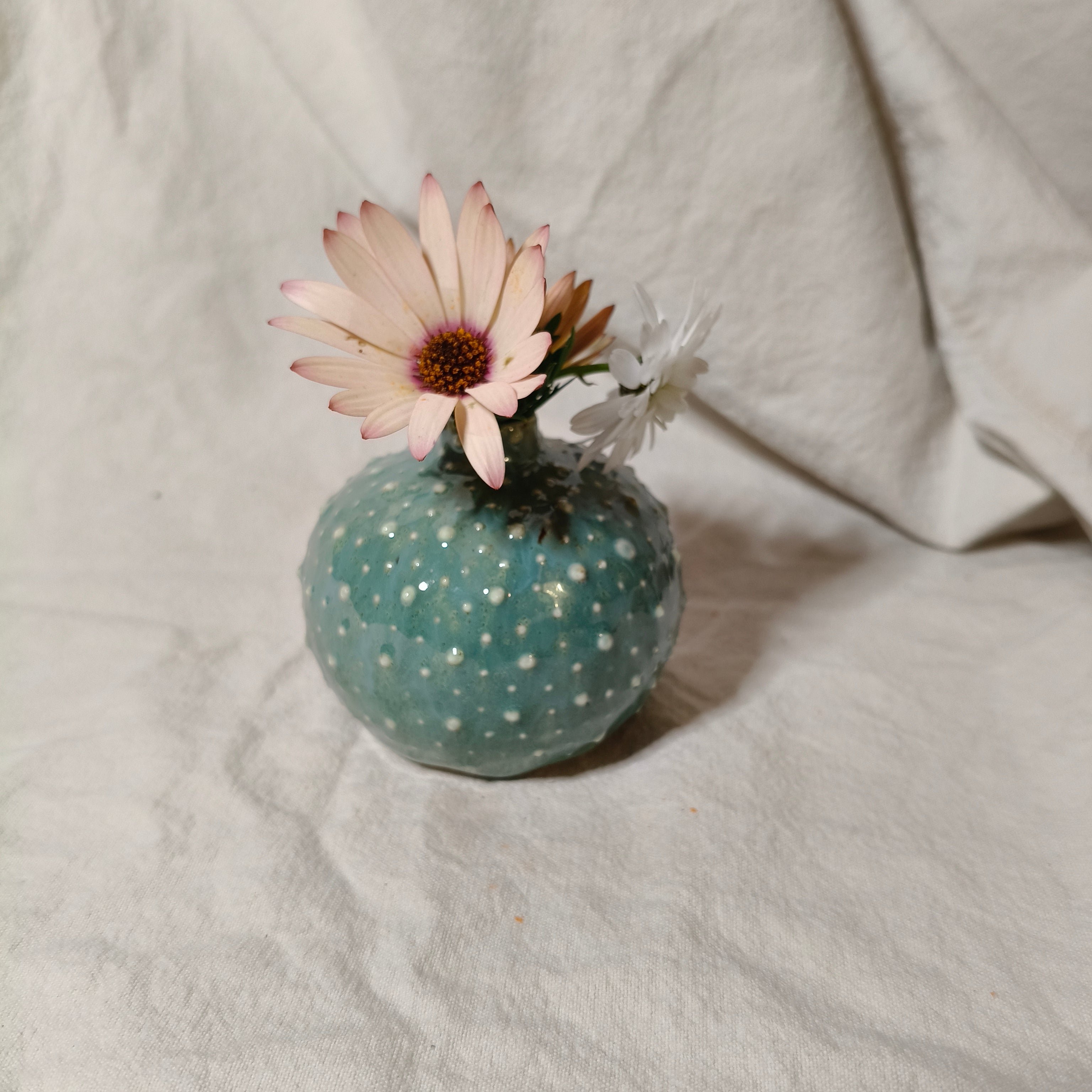 Kina Budvase