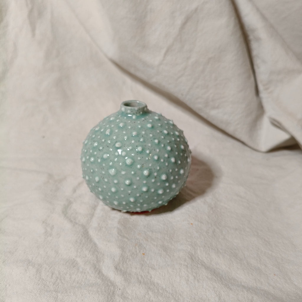 Kina Budvase