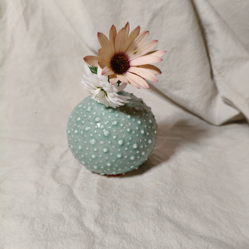 Kina Budvase