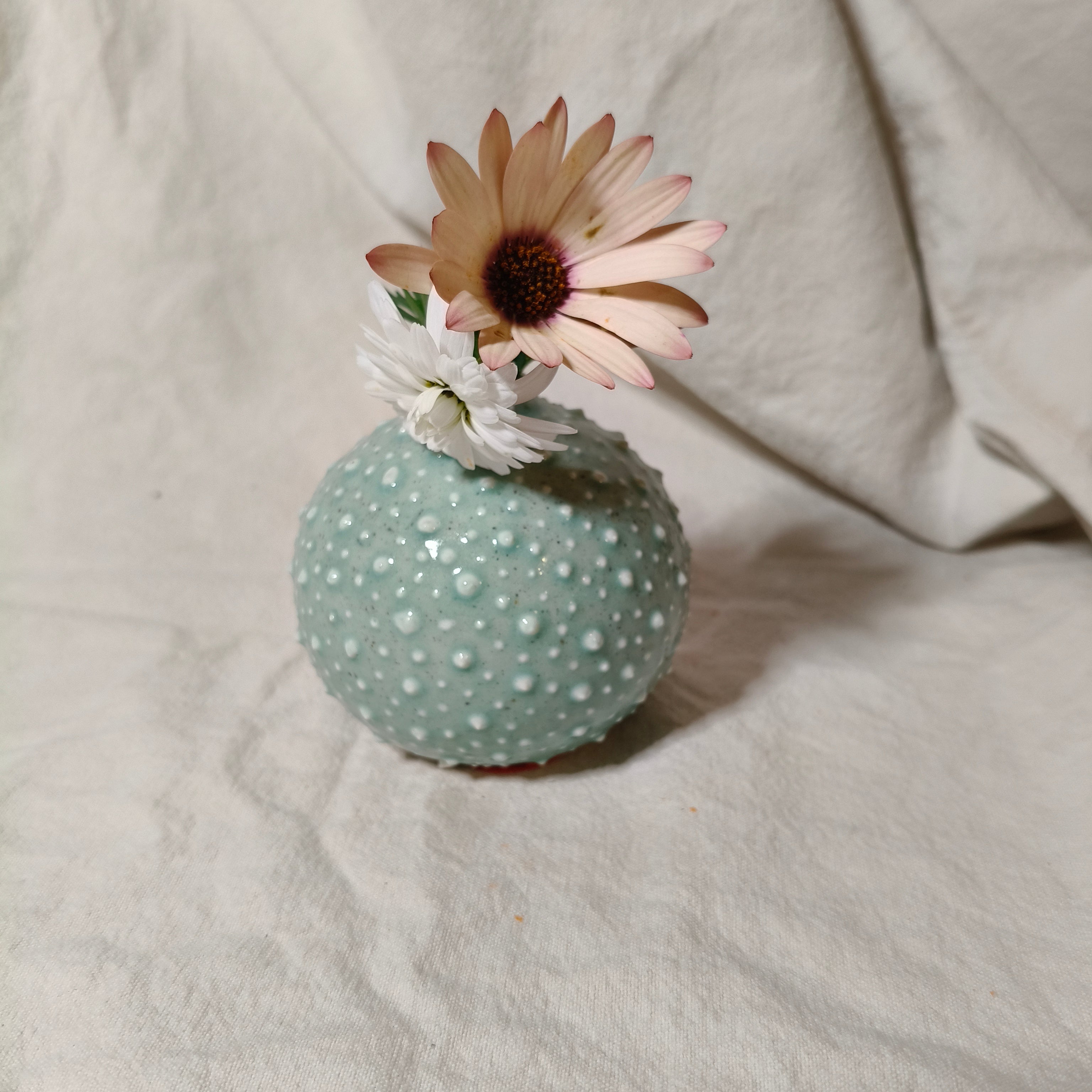 Kina Budvase