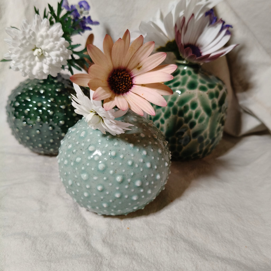 Kina Budvase