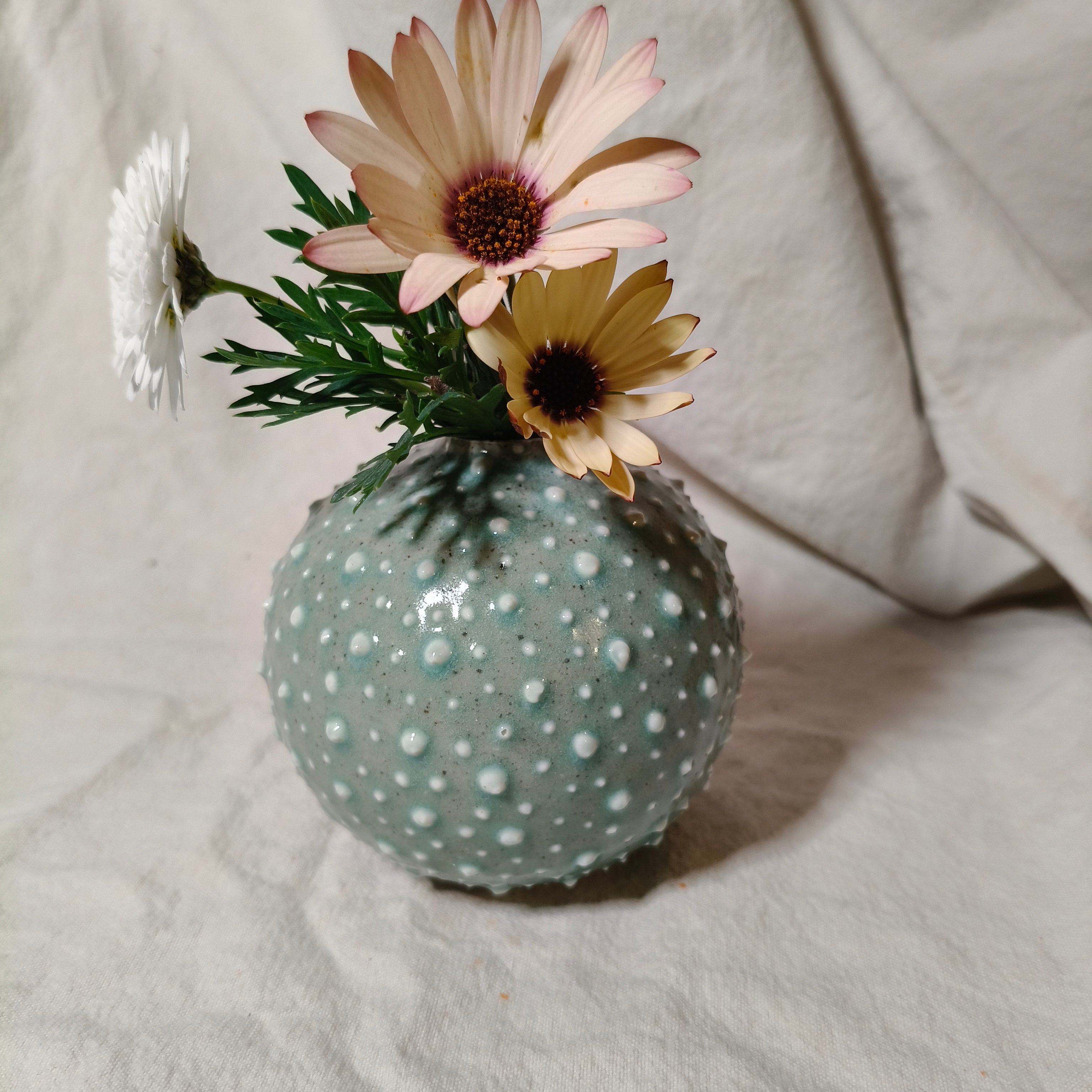 Kina Budvase