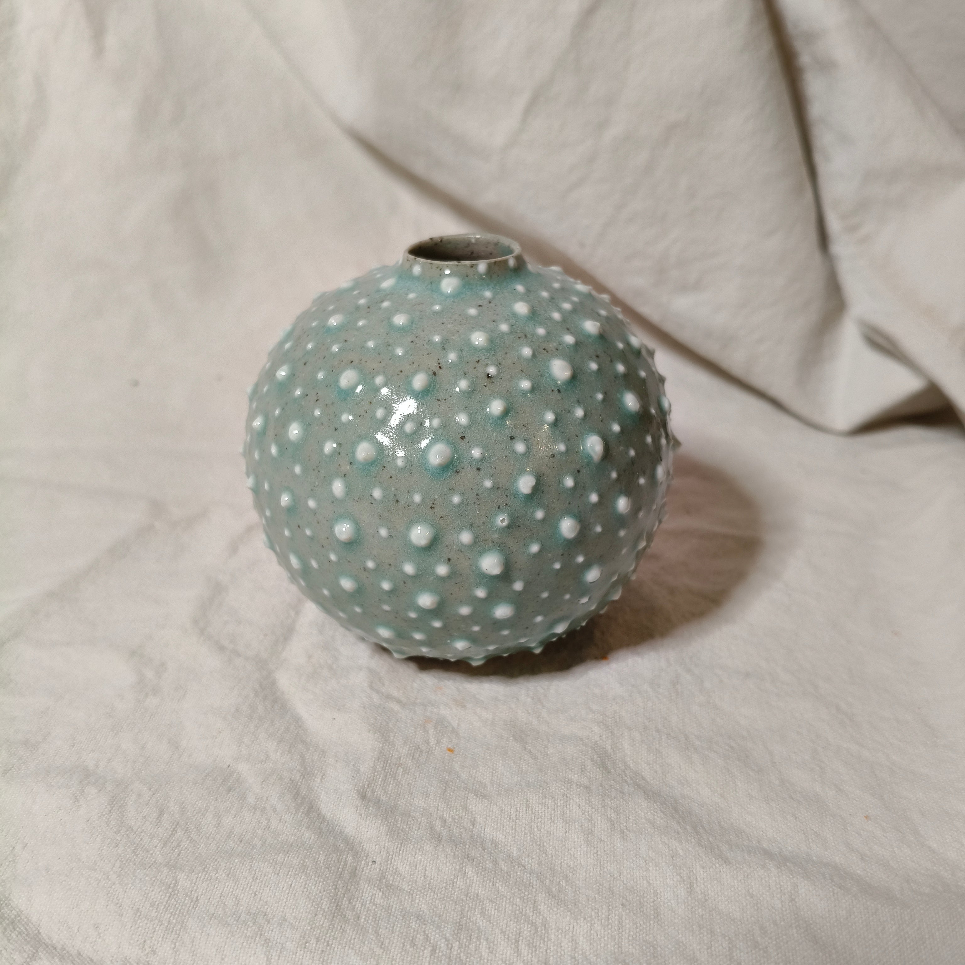 Kina Budvase