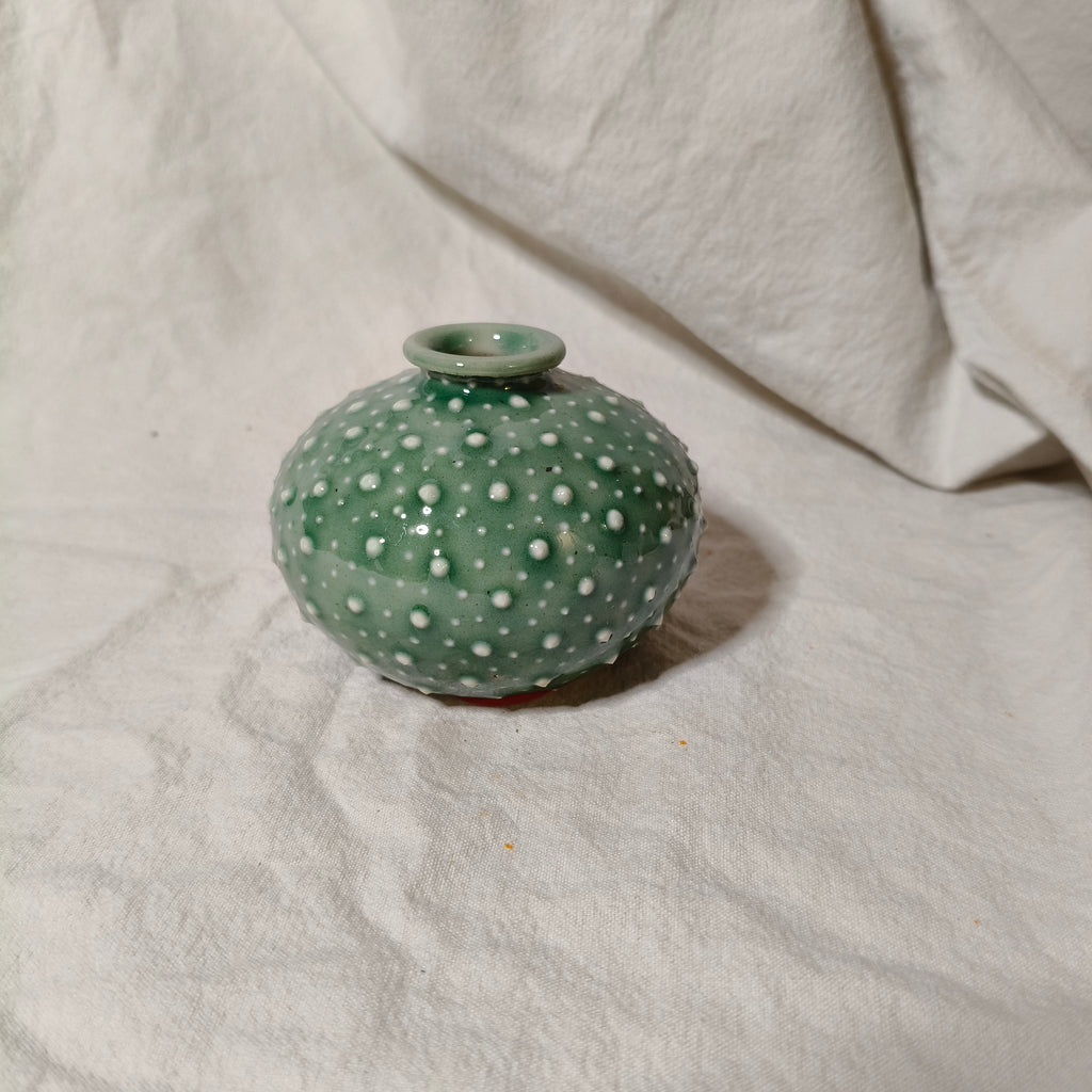 Kina Budvase