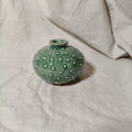 Kina Budvase