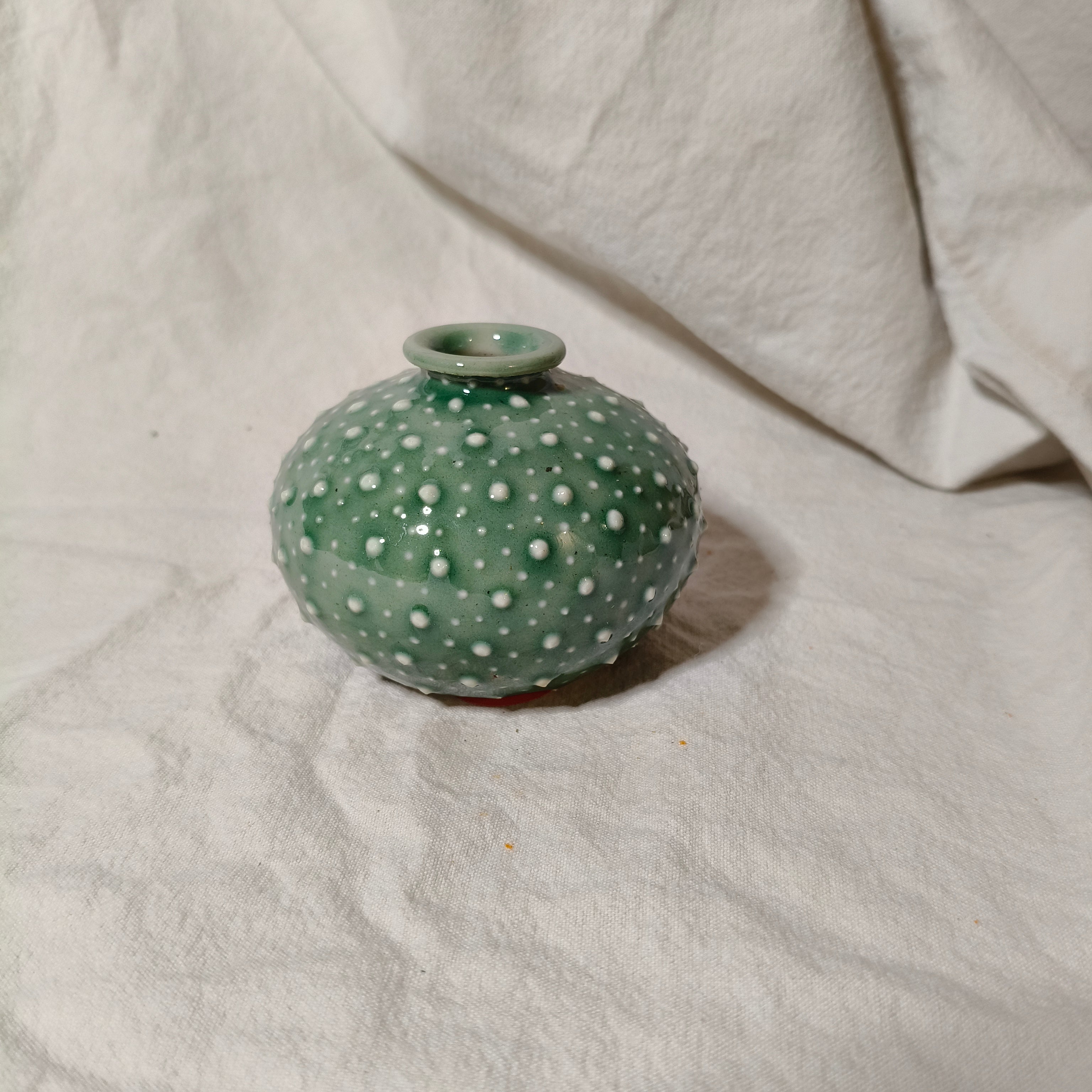 Kina Budvase