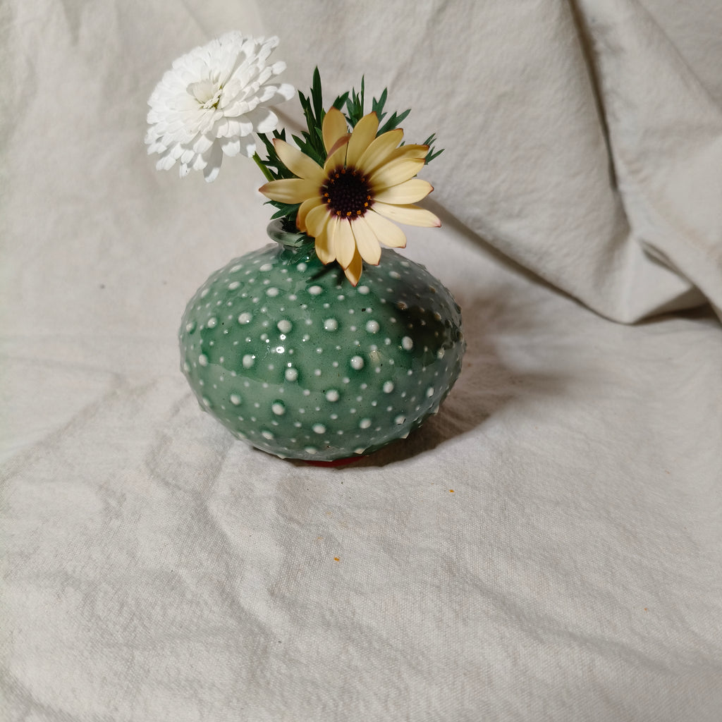 Kina Budvase