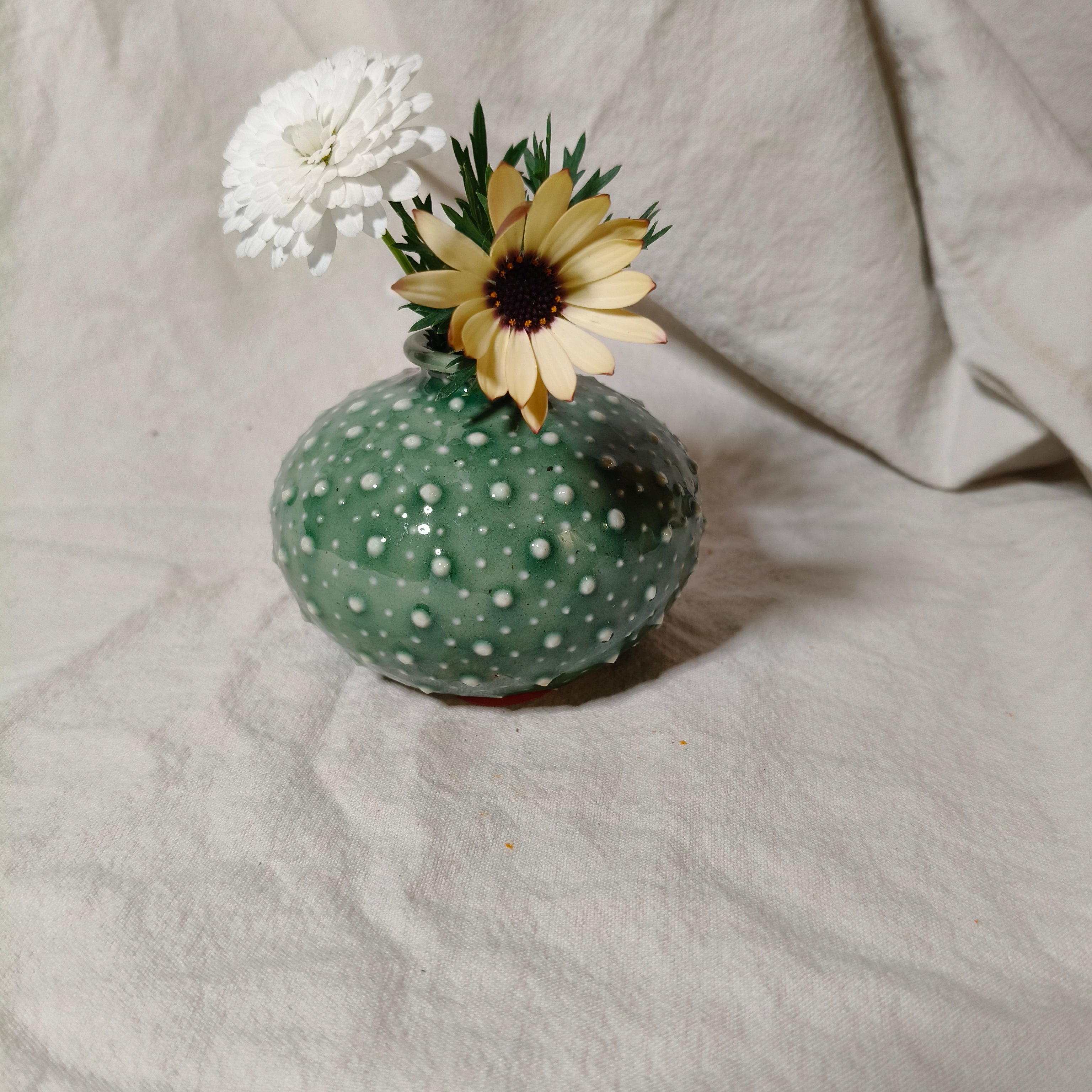 Kina Budvase