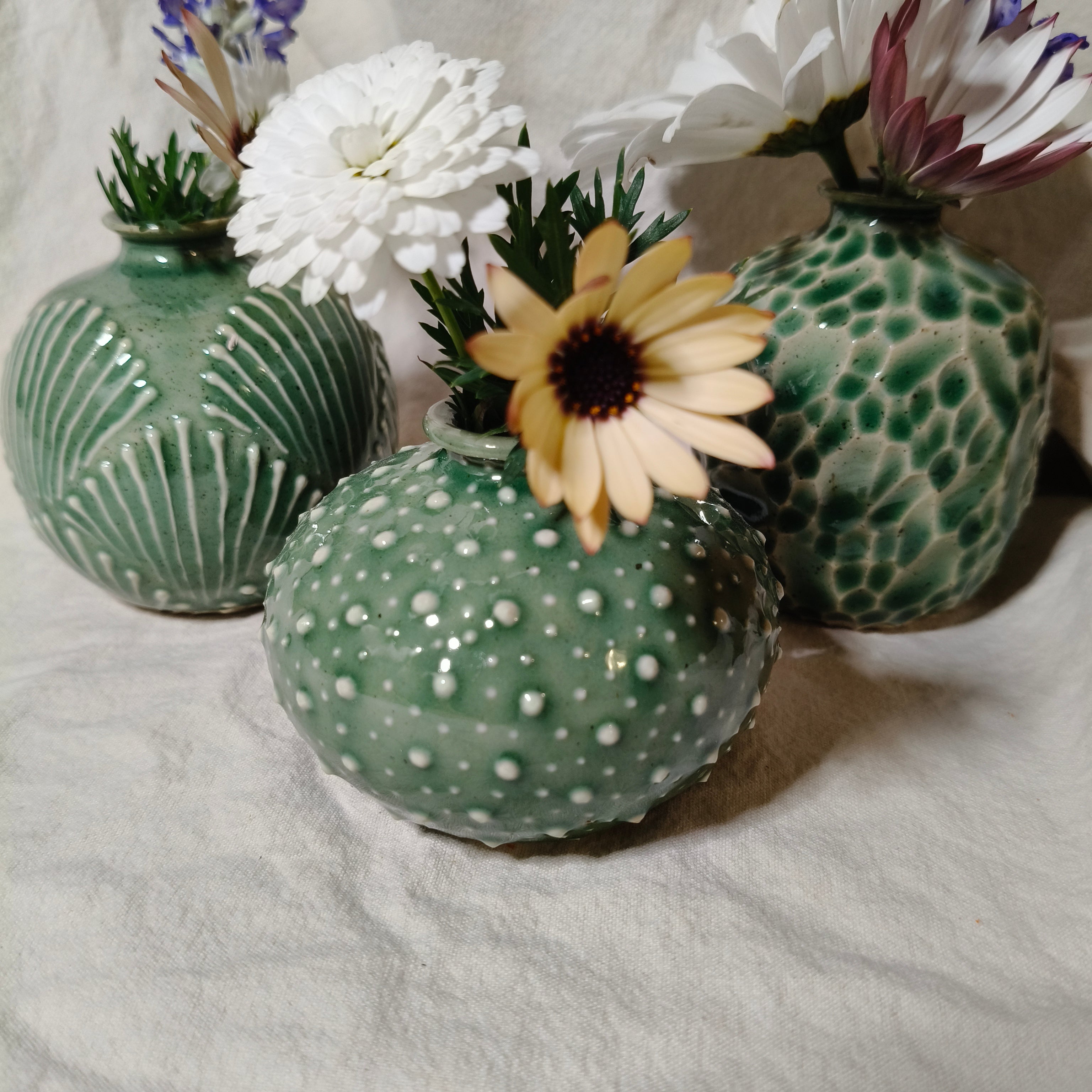 Kina Budvase
