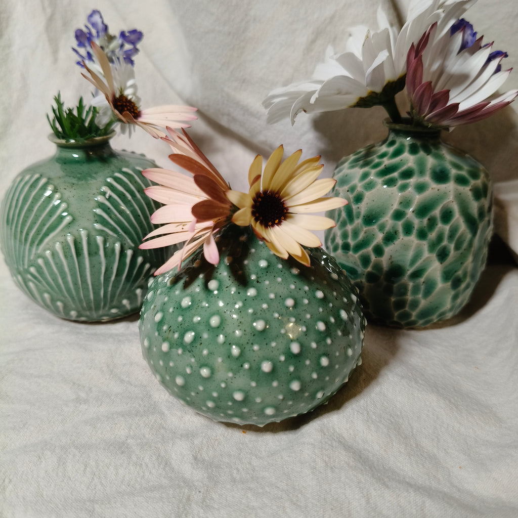 Kina Budvase