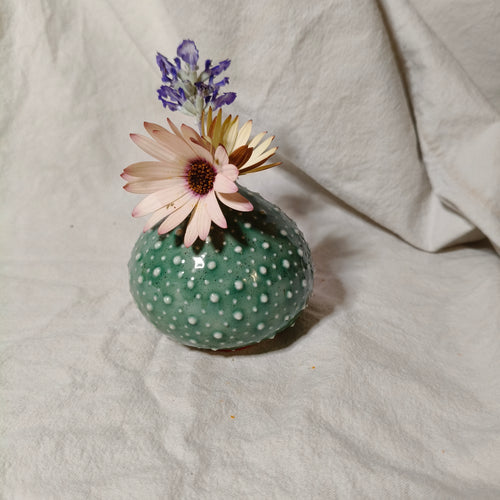 Kina Budvase