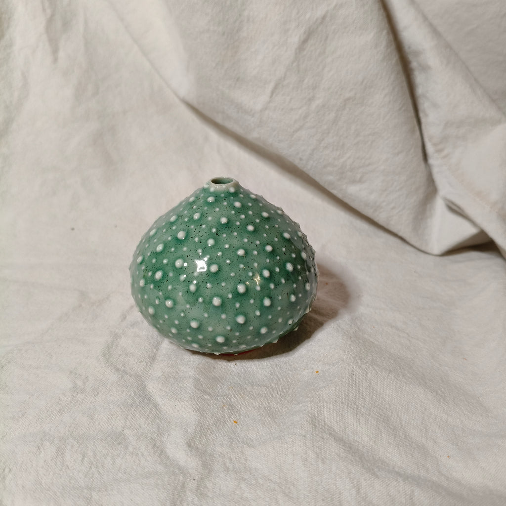 Kina Budvase