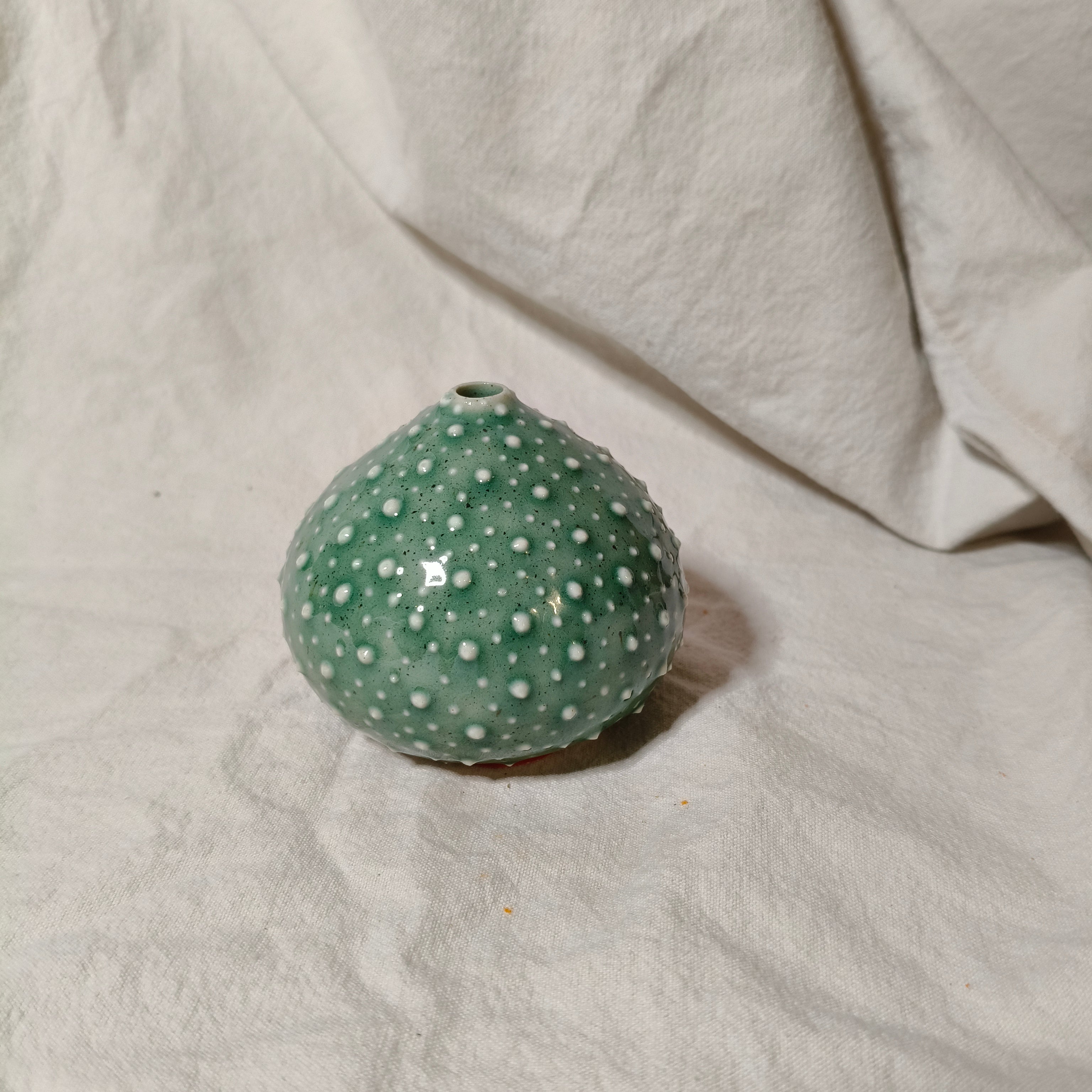 Kina Budvase