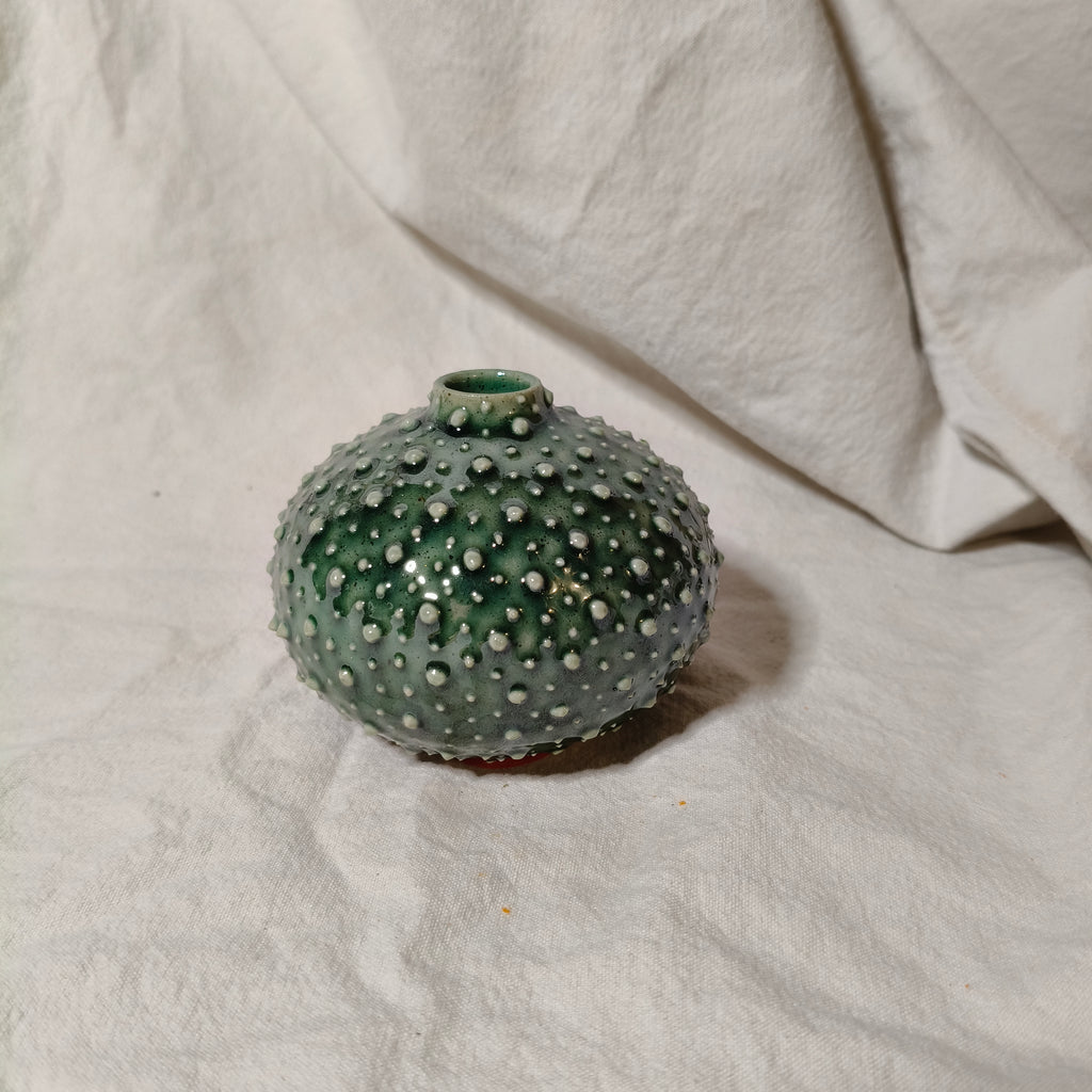 Kina Budvase