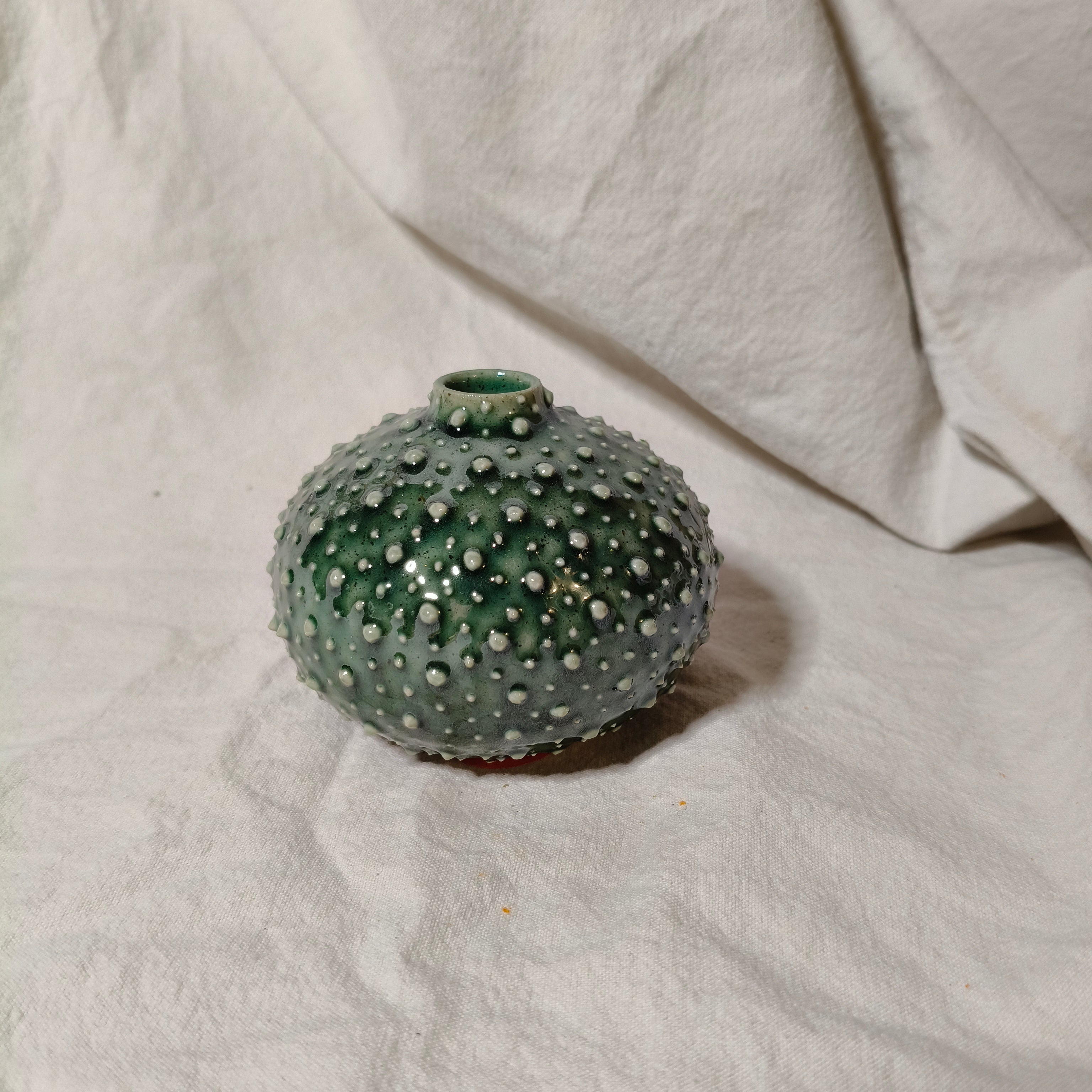 Kina Budvase