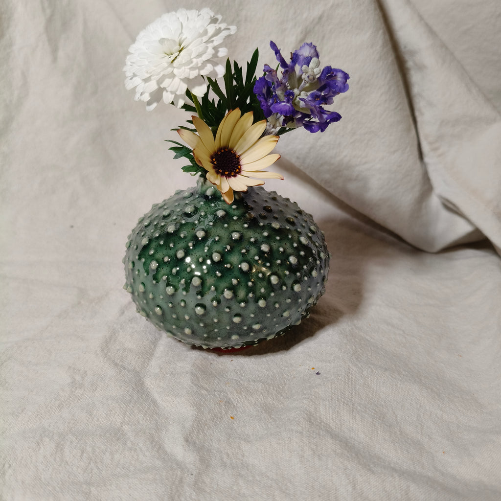 Kina Budvase