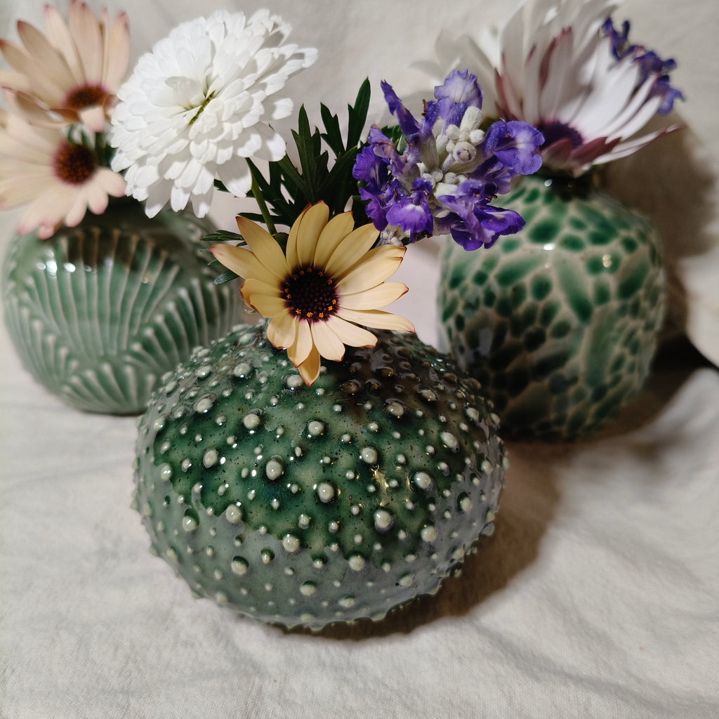 Kina Budvase
