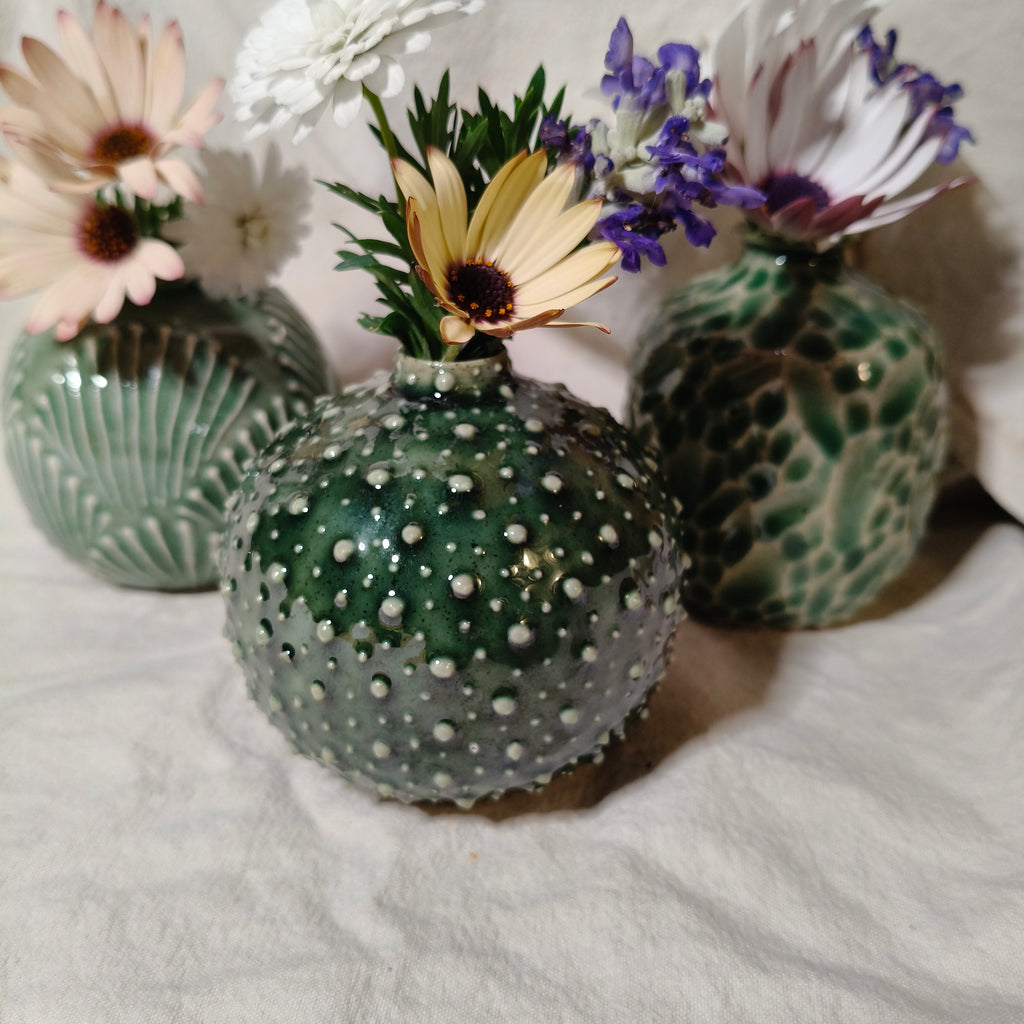 Kina Budvase