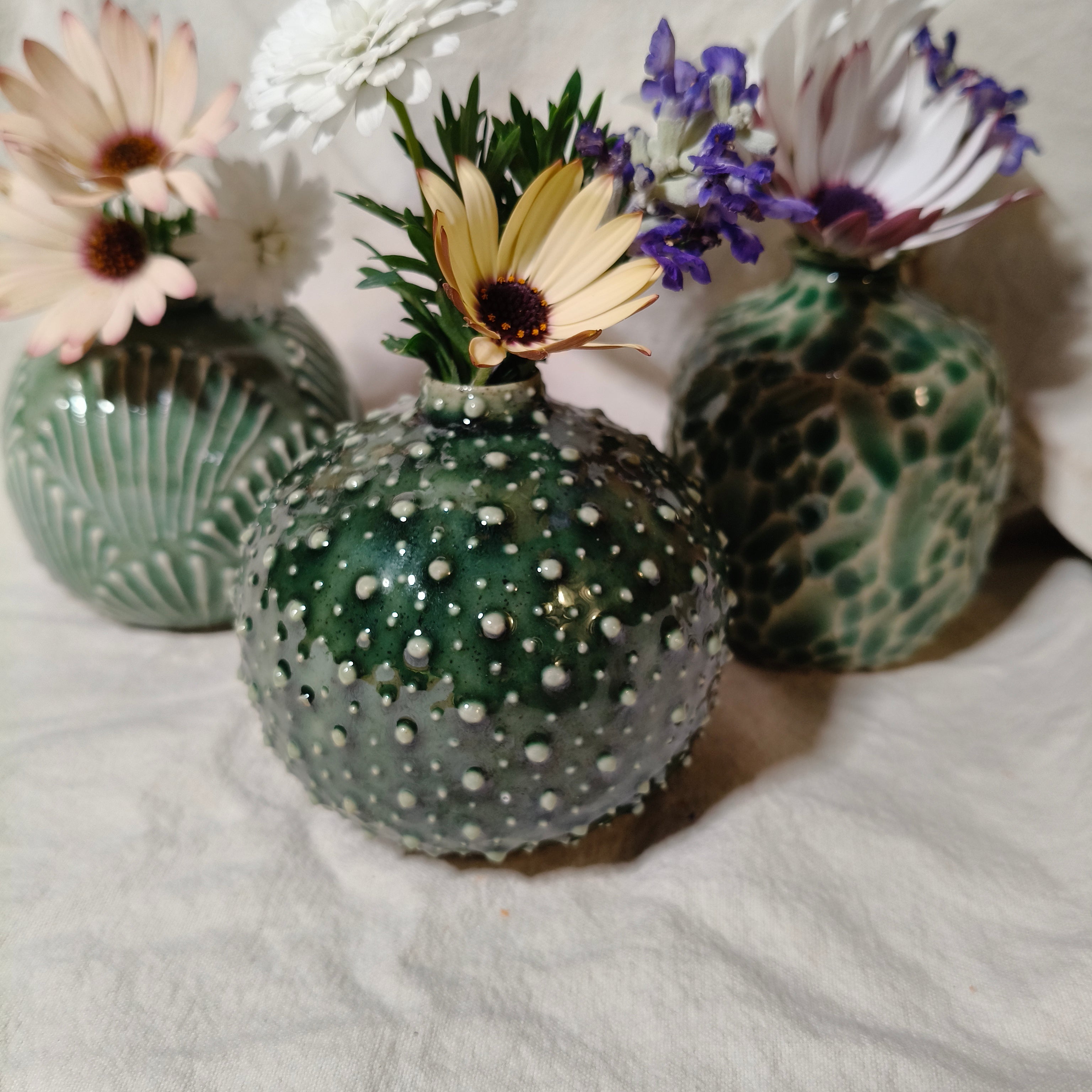 Kina Budvase