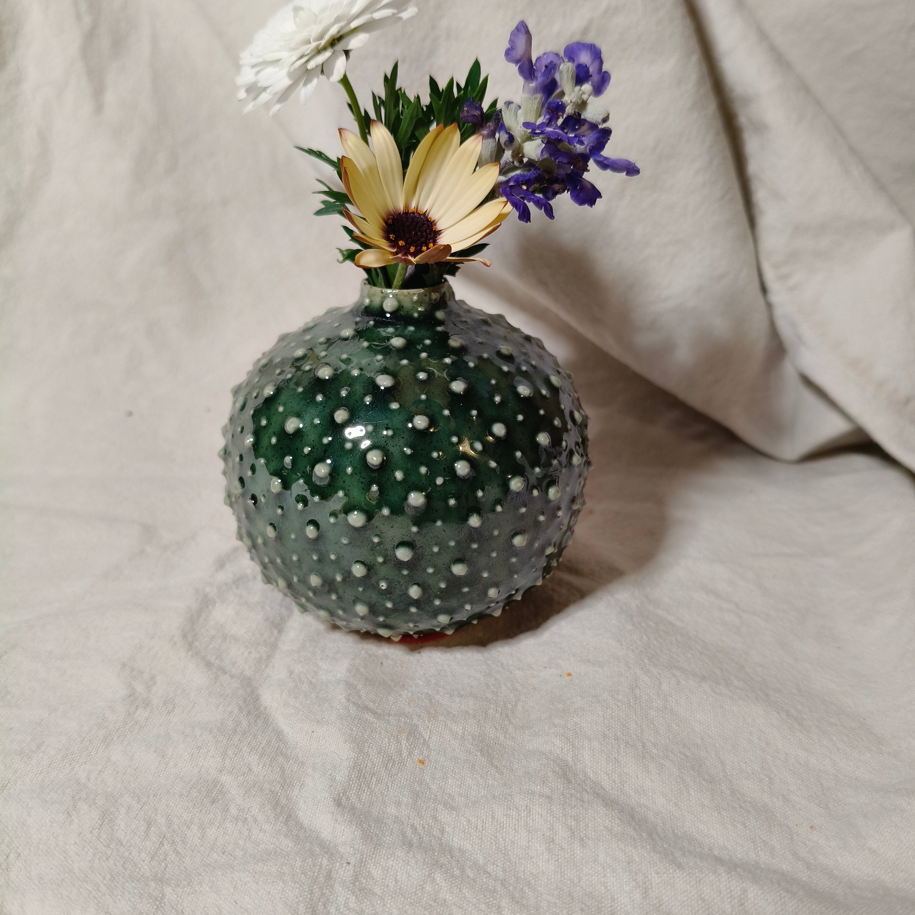 Kina Budvase