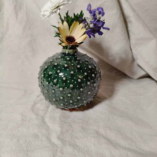 Kina Budvase