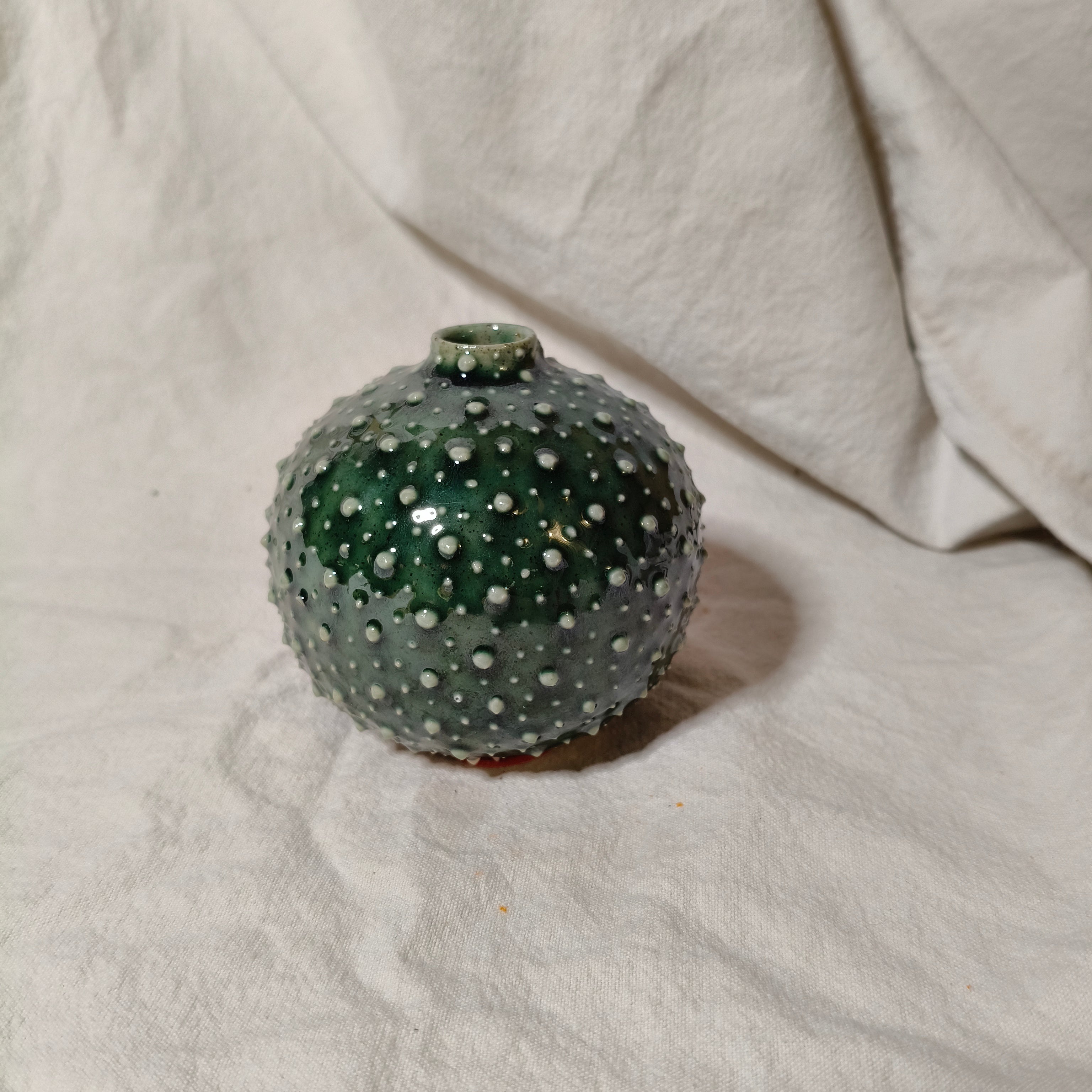 Kina Budvase
