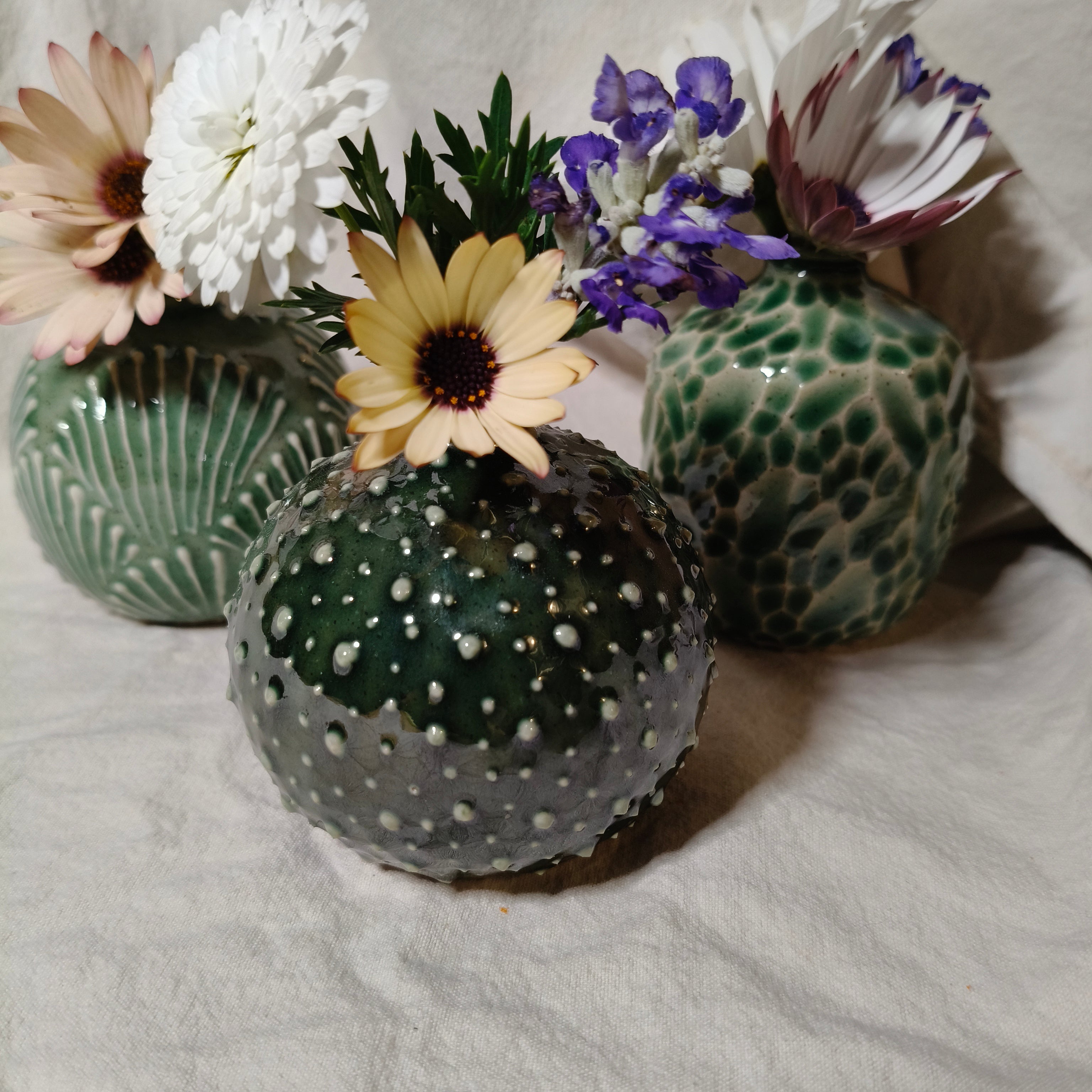 Kina Budvase