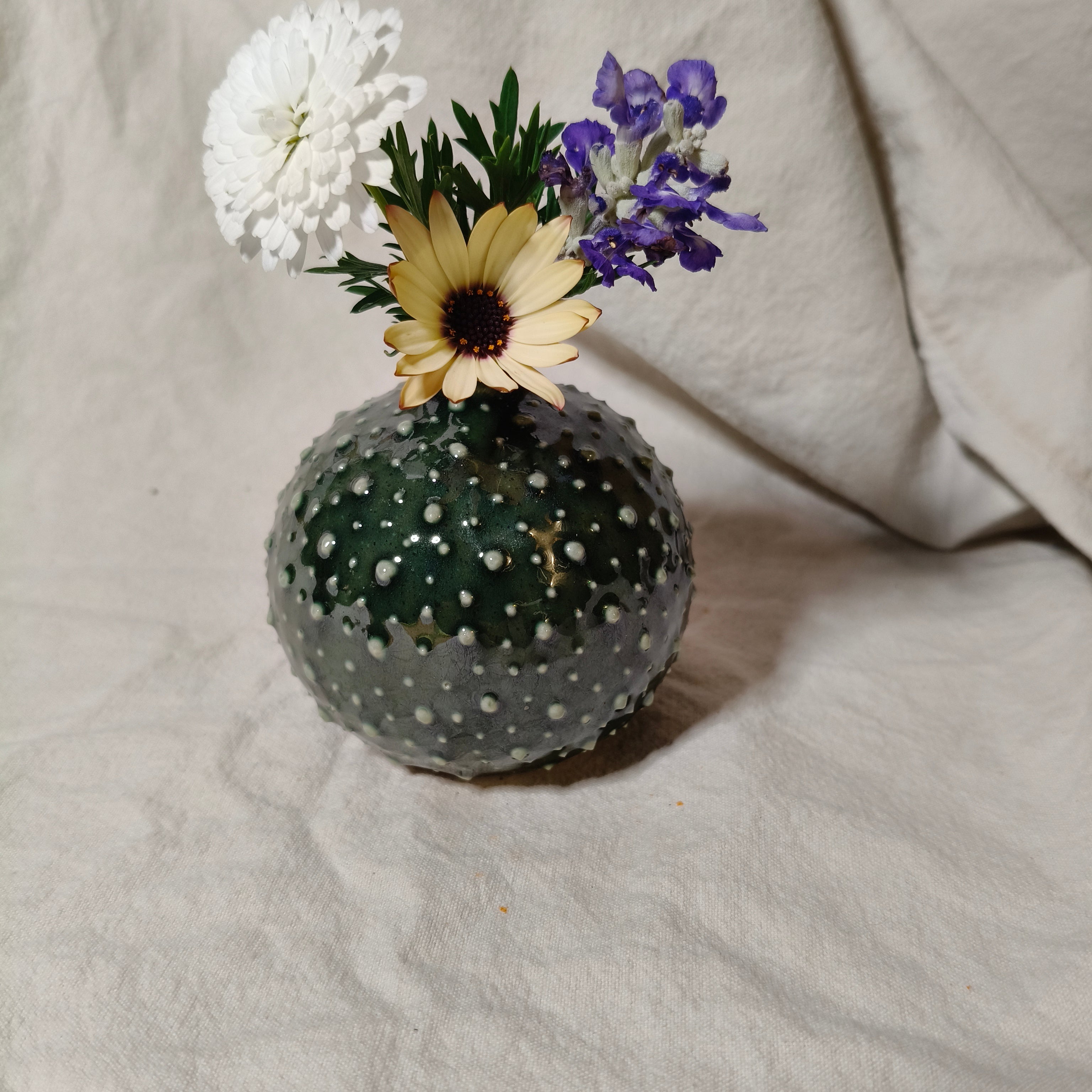 Kina Budvase