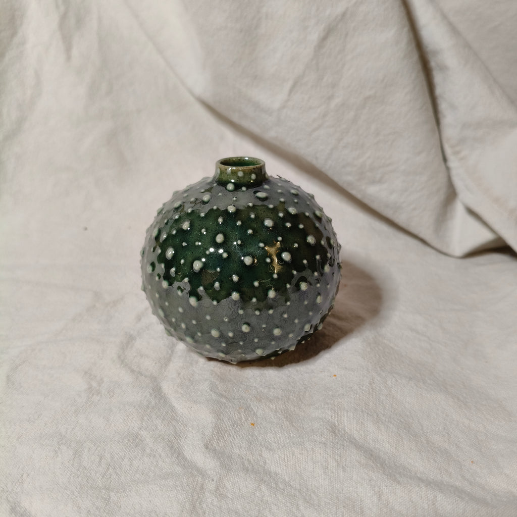 Kina Budvase