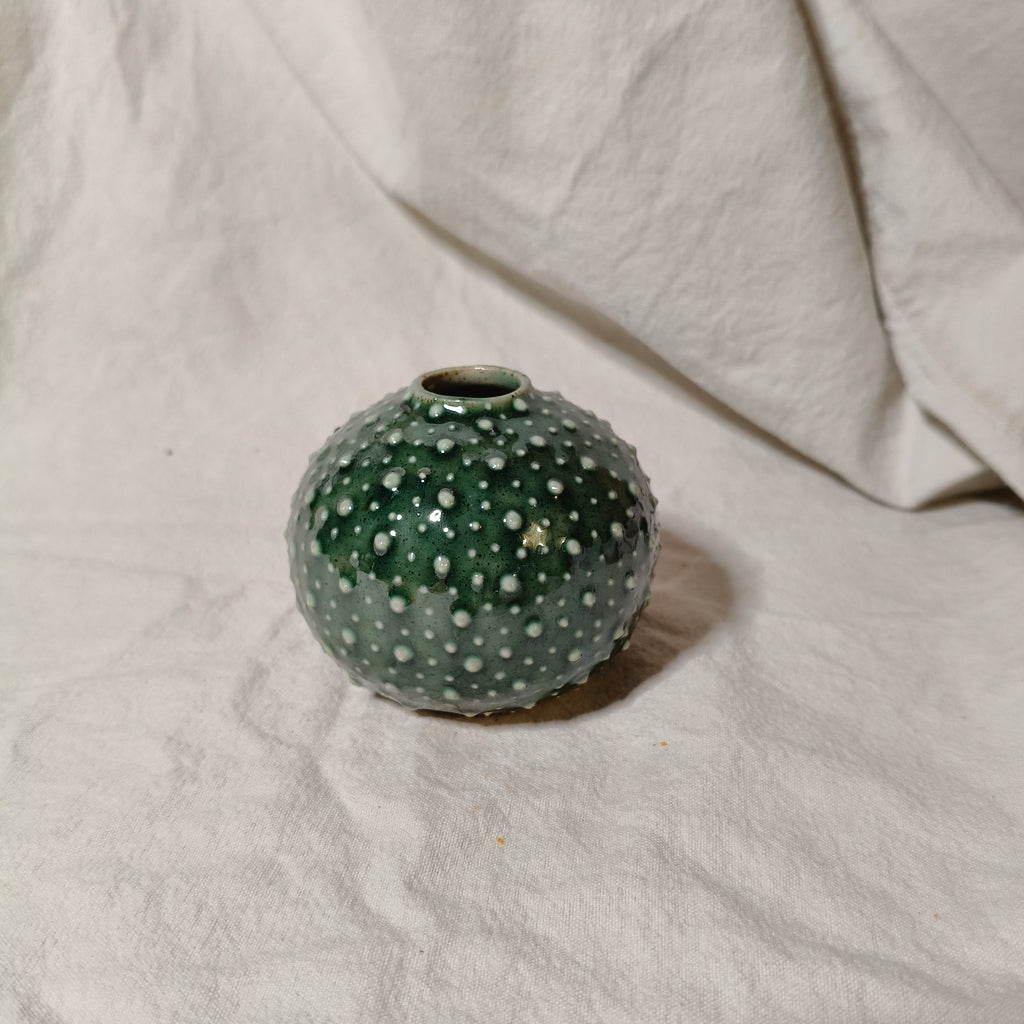 Kina Budvase