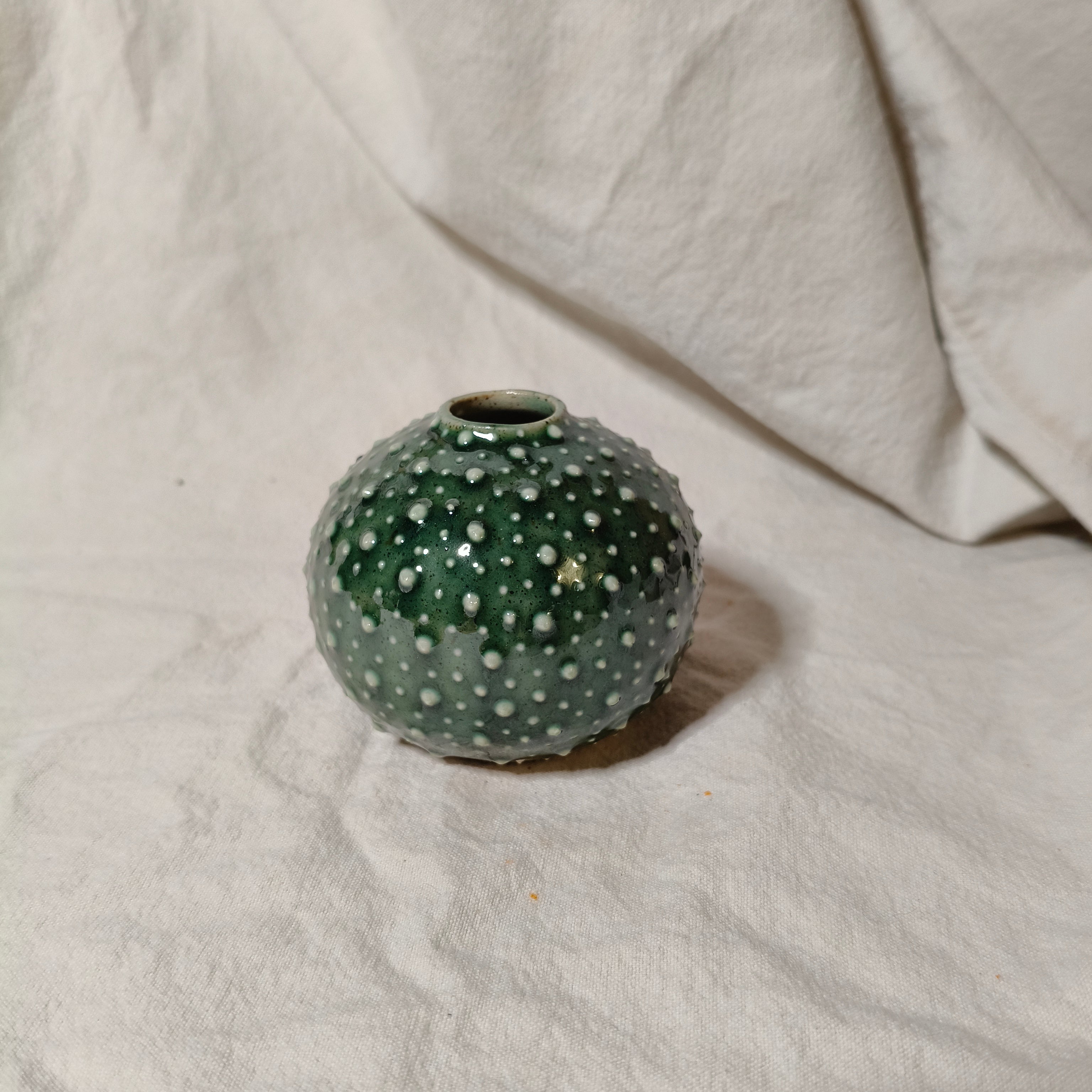 Kina Budvase