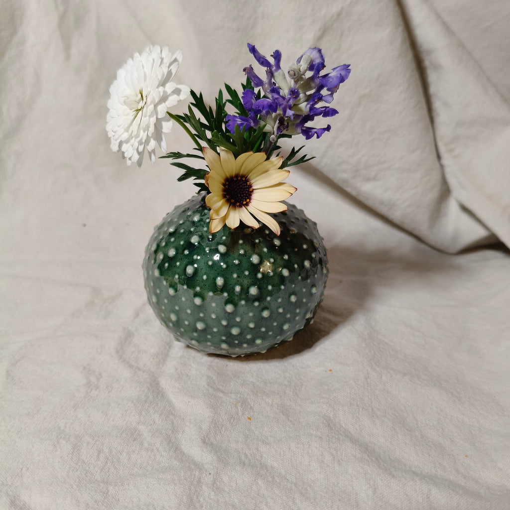 Kina Budvase