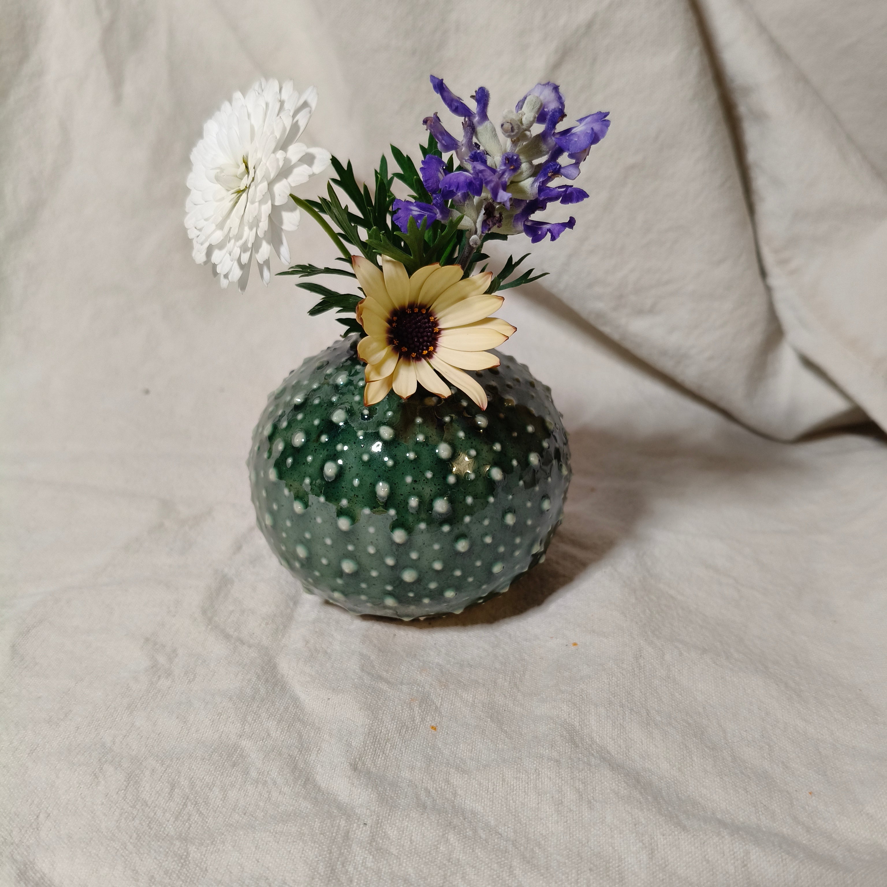 Kina Budvase
