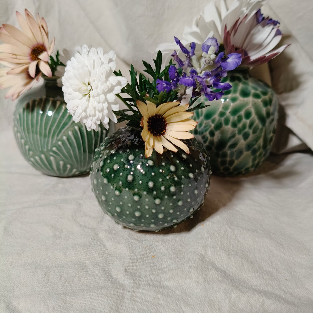 Kina Budvase