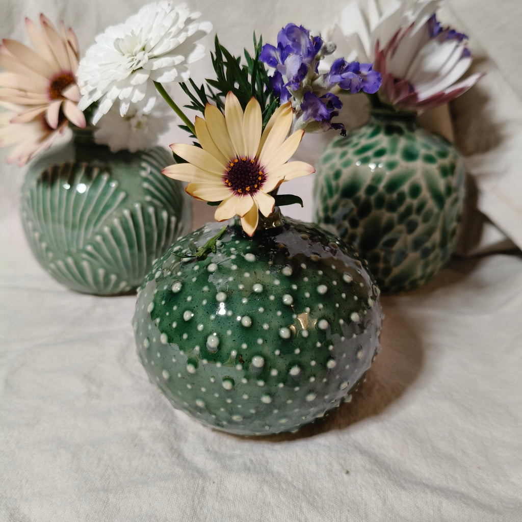 Kina Budvase