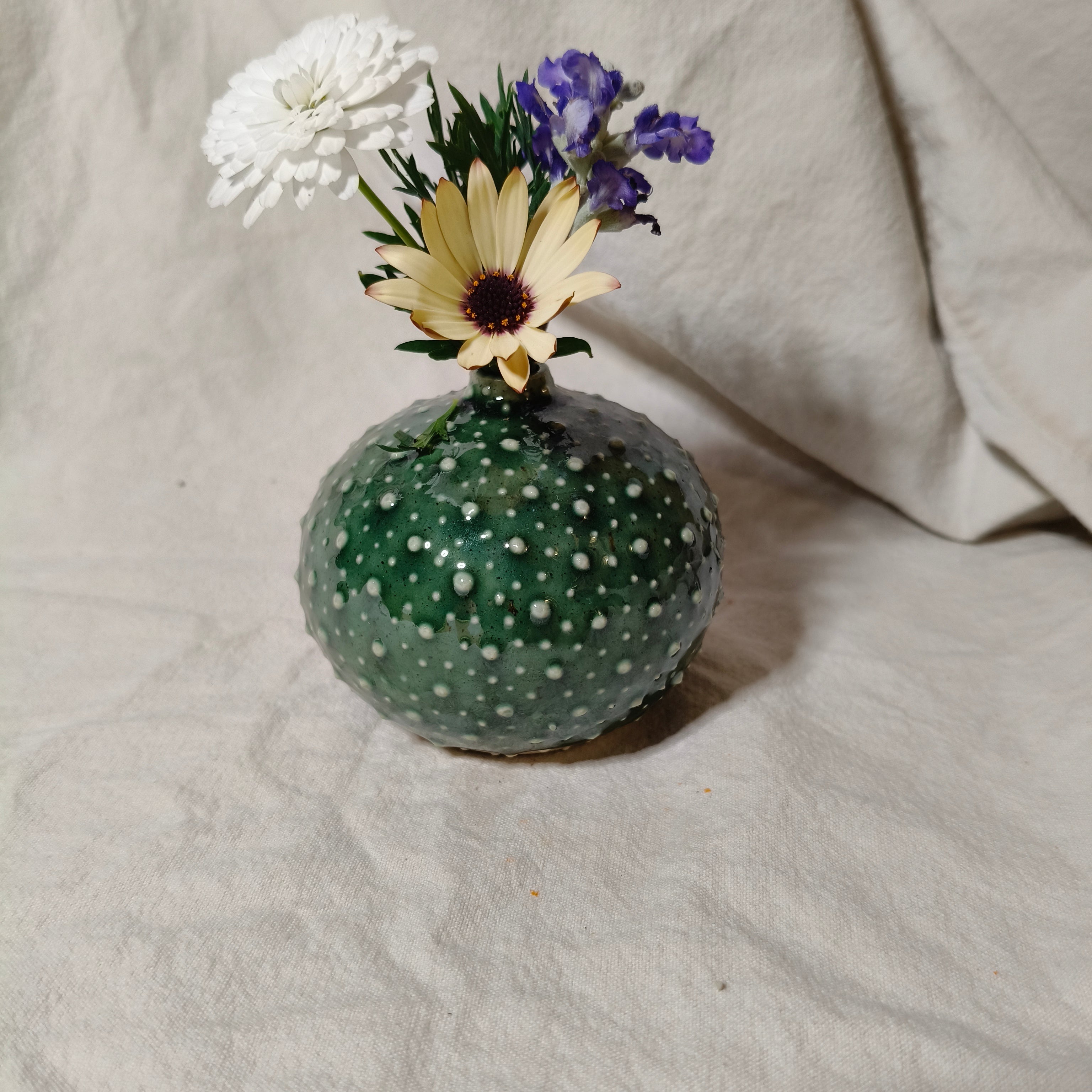 Kina Budvase