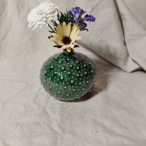 Kina Budvase