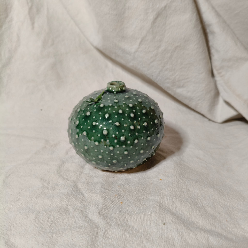 Kina Budvase