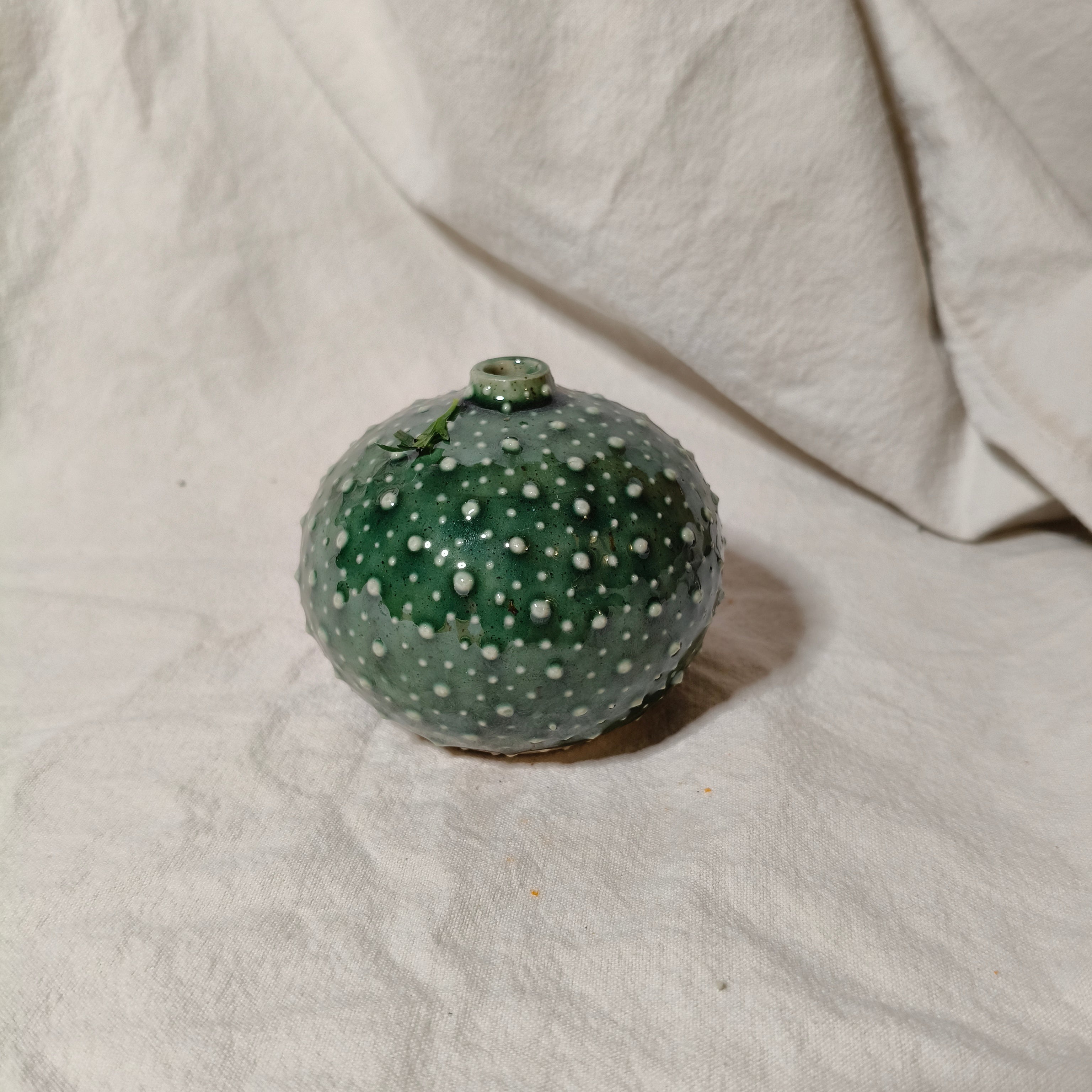 Kina Budvase
