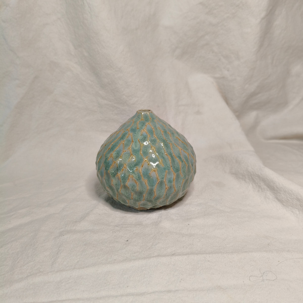 Kina Budvase