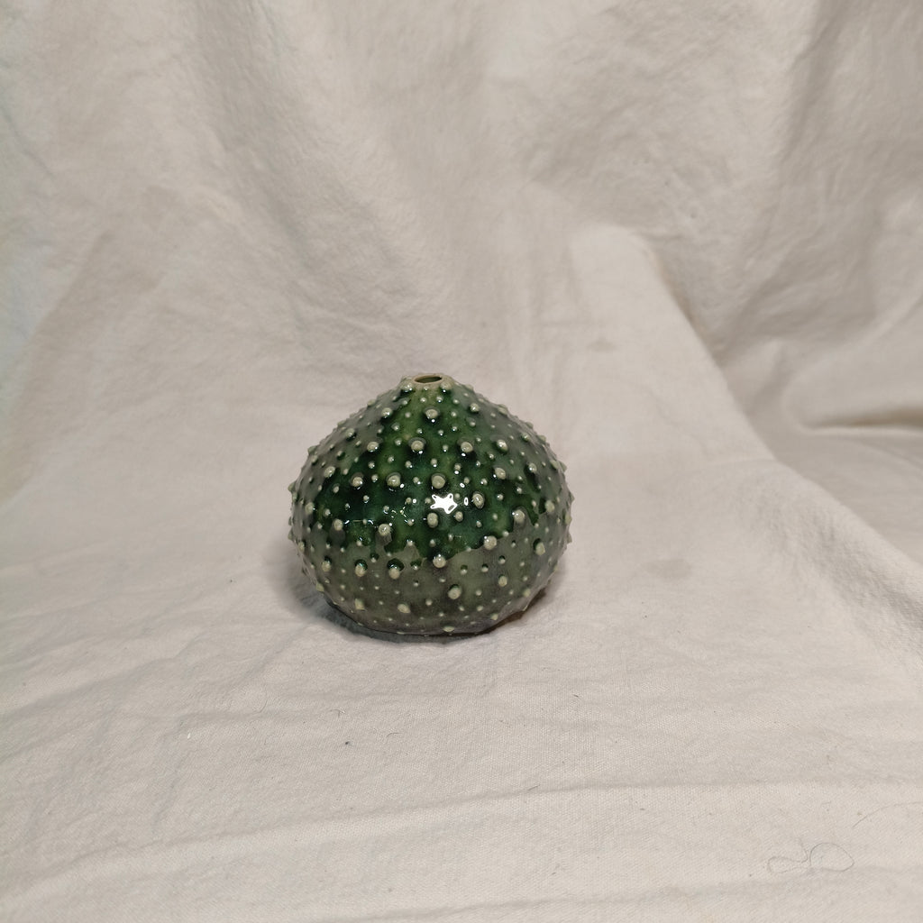 Kina Budvase