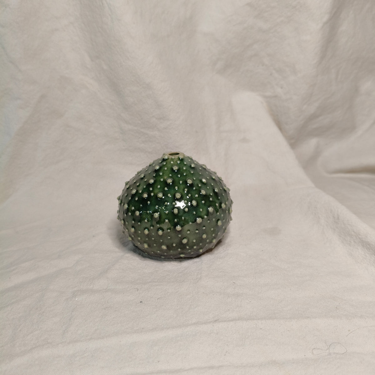 Kina Budvase