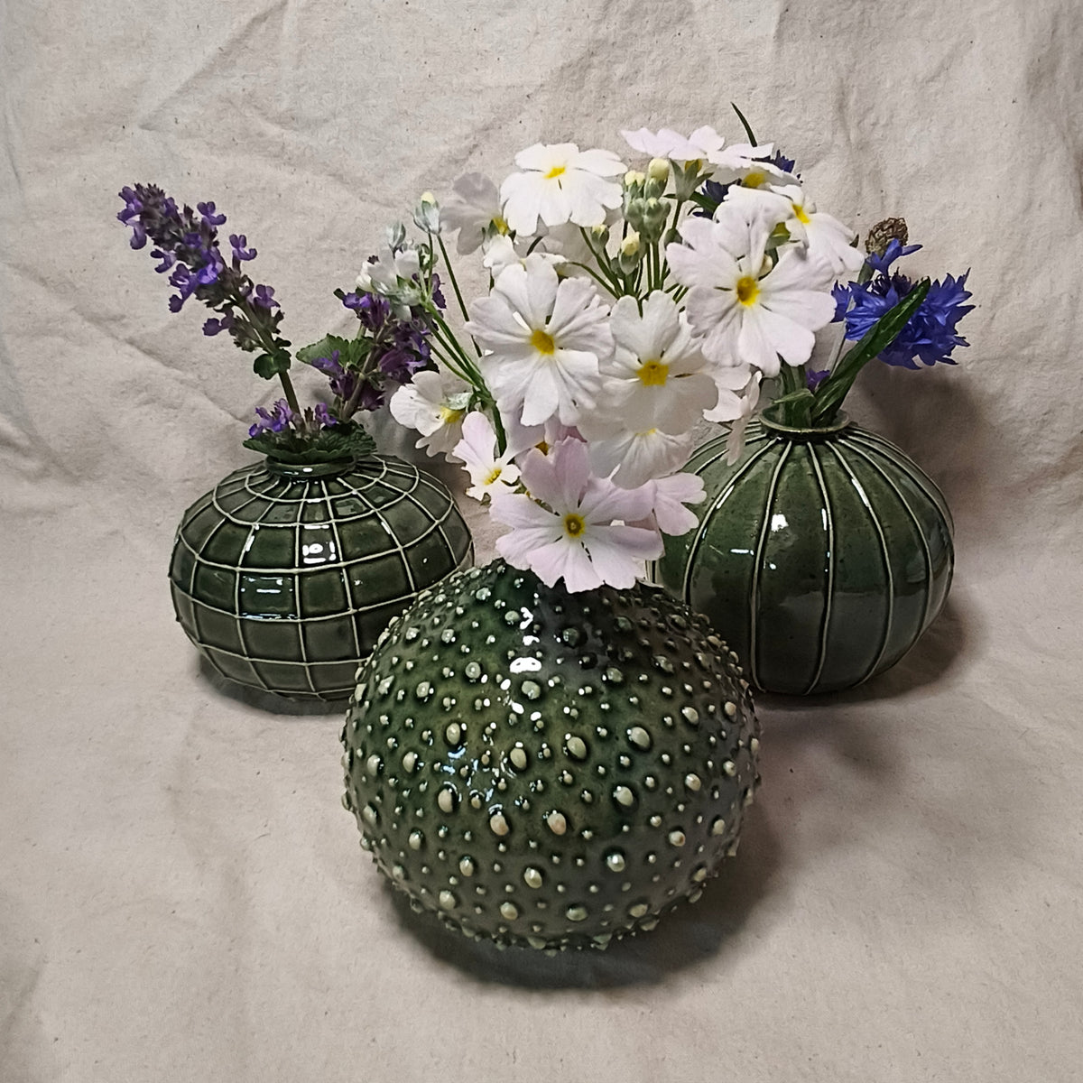Kina Budvase