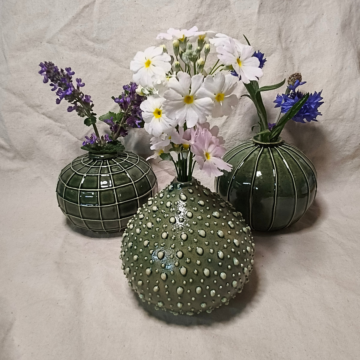 Kina Budvase