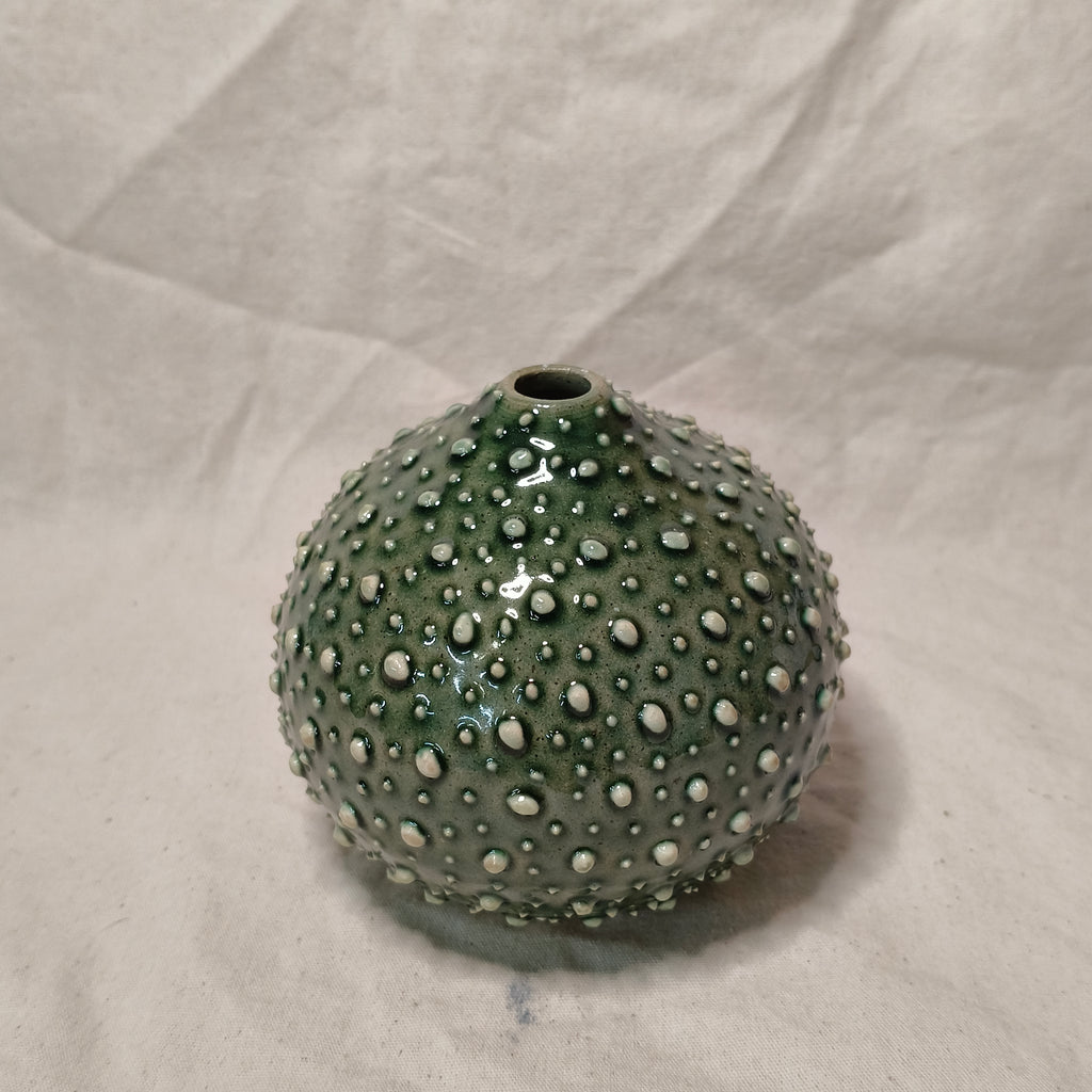 Kina Budvase