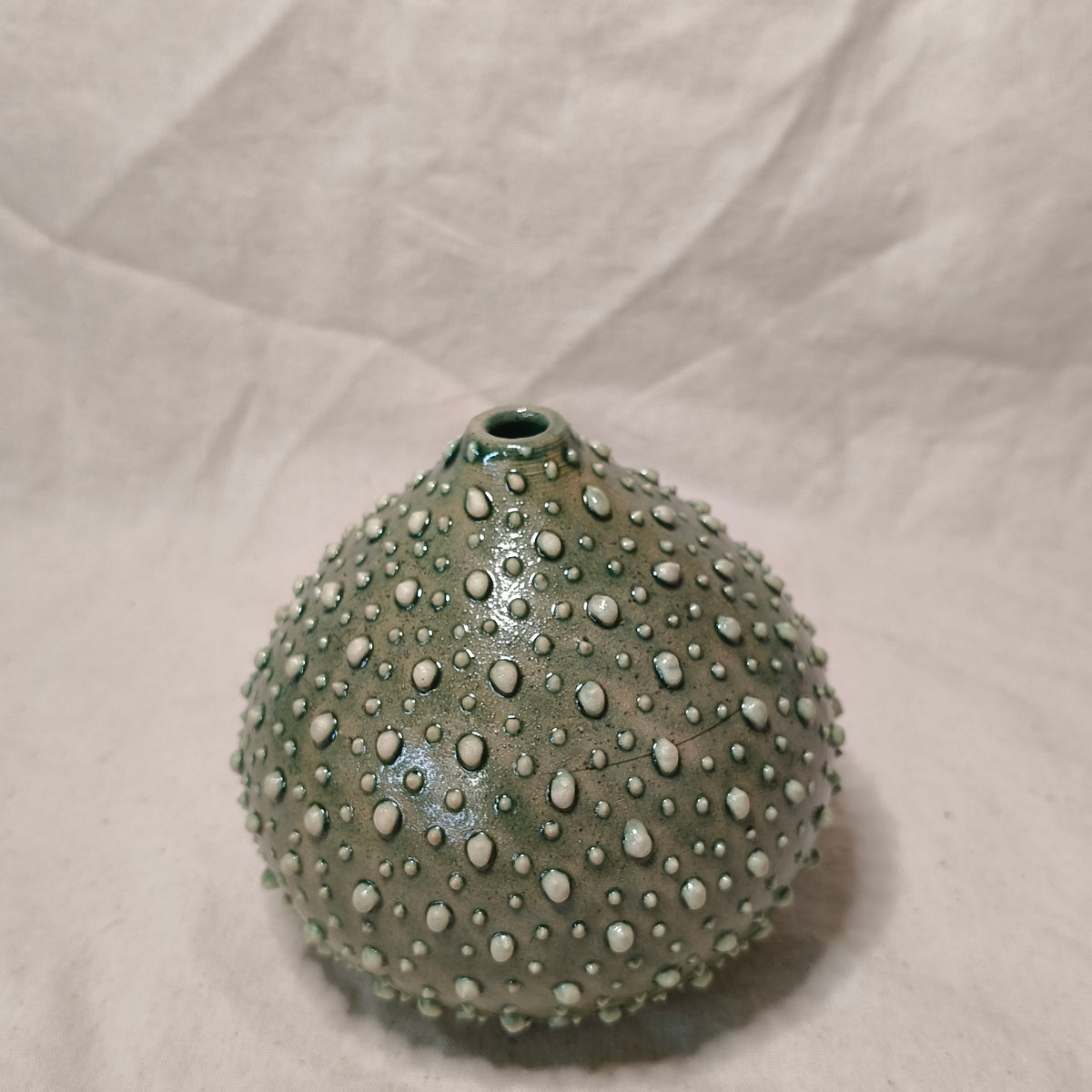 Kina Budvase
